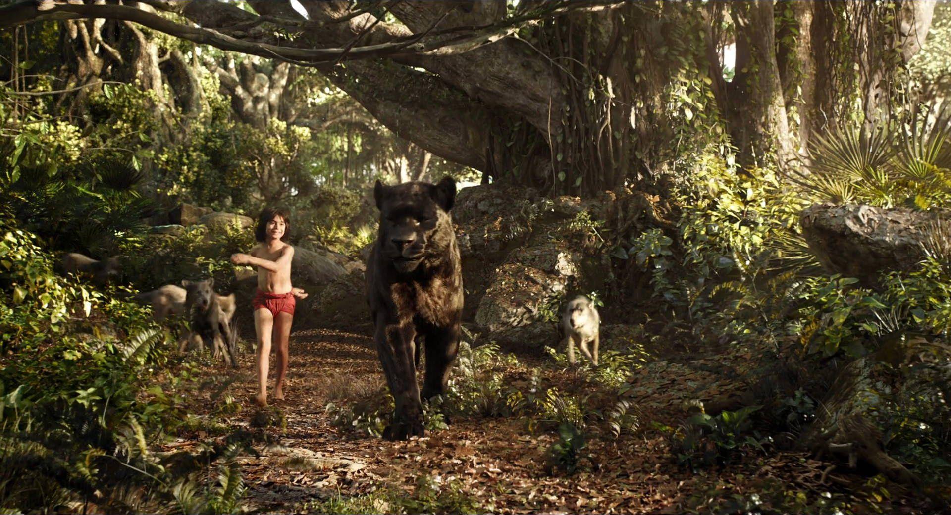 The Jungle Book 2016 4K or HD wallpaper for your PC, Mac or Mobile