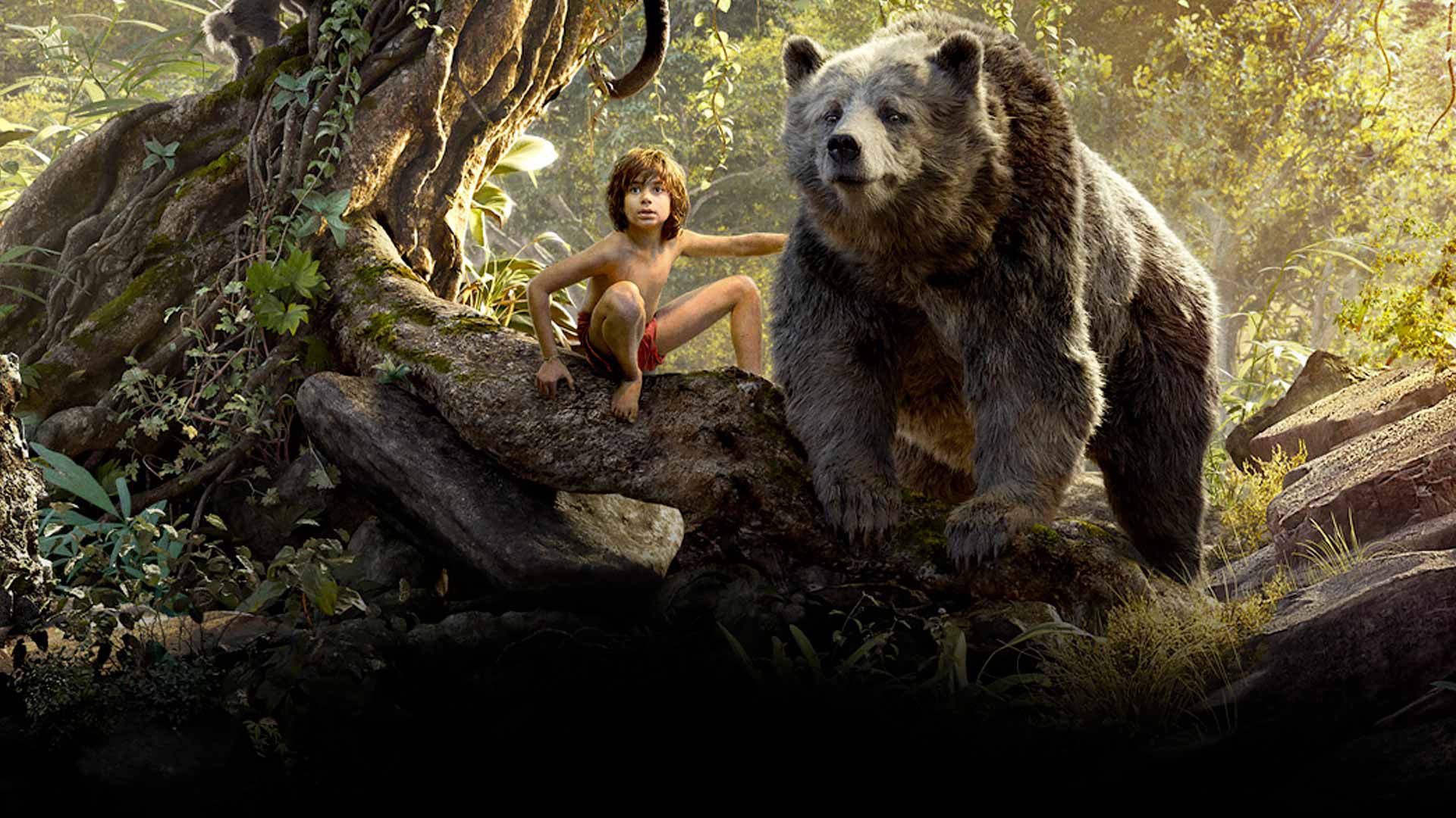 Mowgli Movie Wallpapers Wallpaper Cave