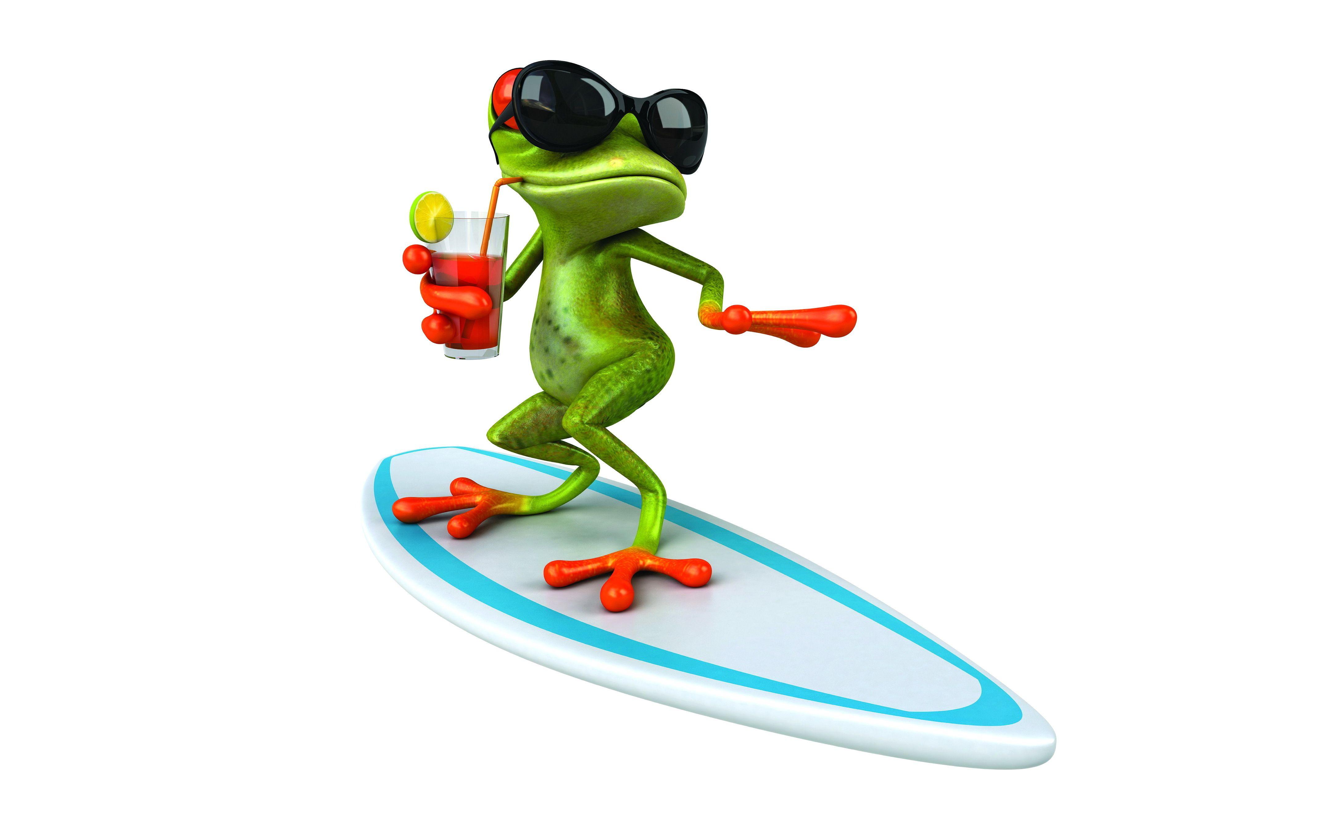 Glass Frogs Wallpapers - Wallpaper Cave