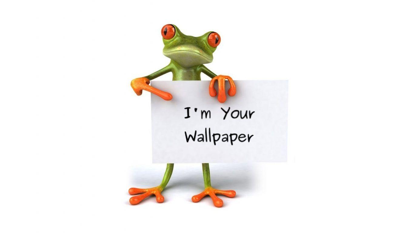 Frog Wallpaper: Frog Green Biker Series HD Picture Of. Board Sea