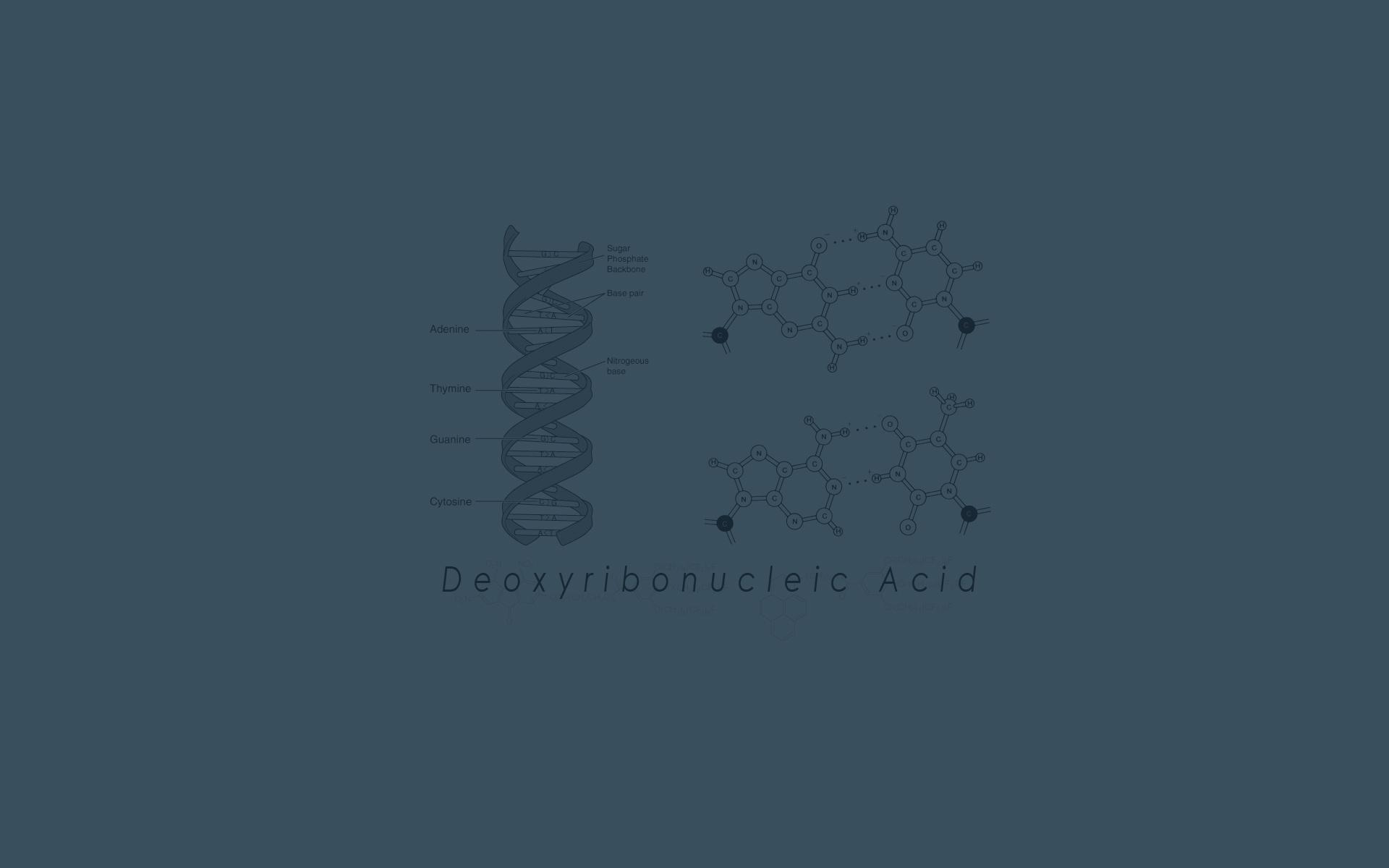 Biology genetics DNA HD wallpaper. HD Latest Wallpaper