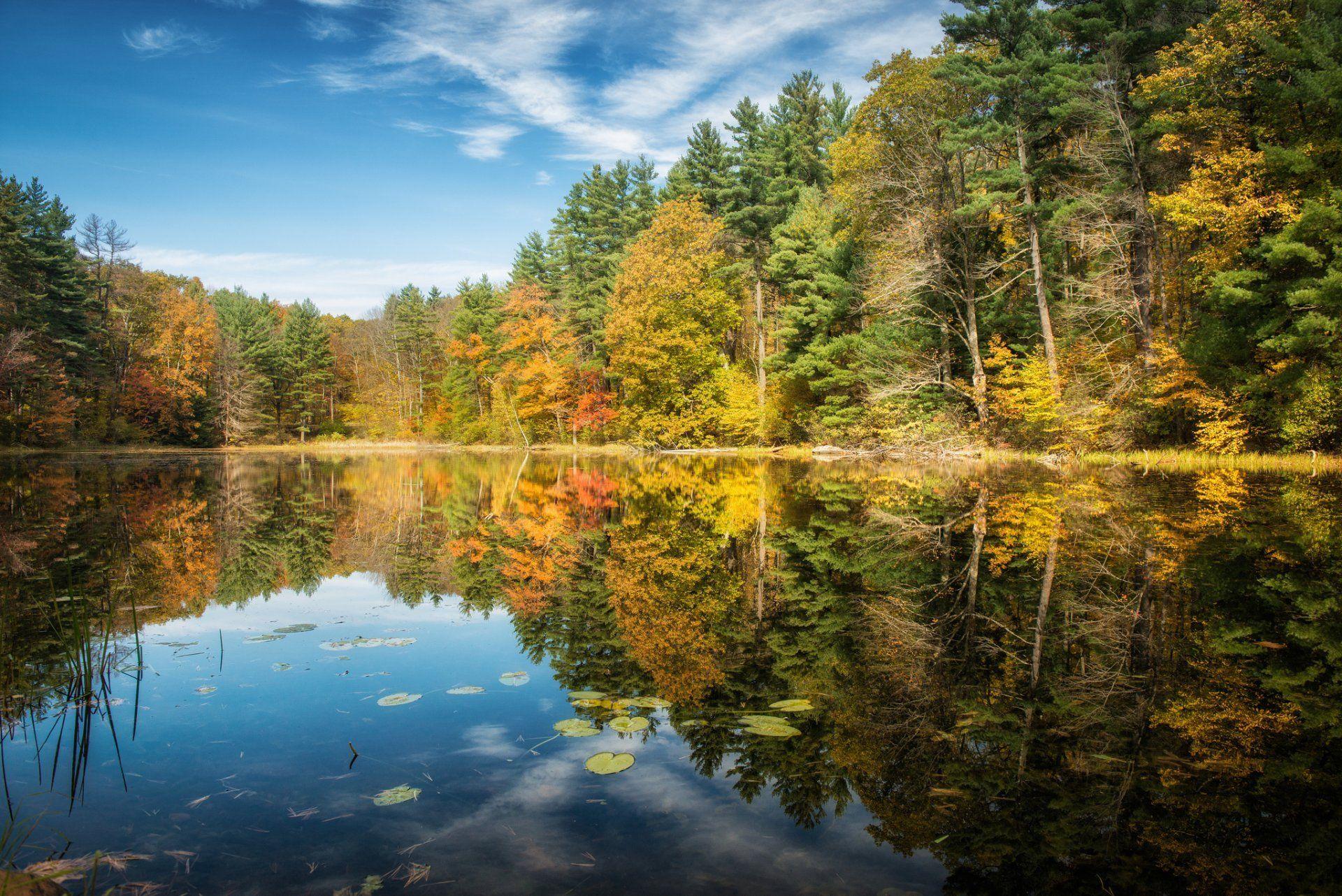 norfolk connecticut lake forest autumn tree reflection HD wallpaper