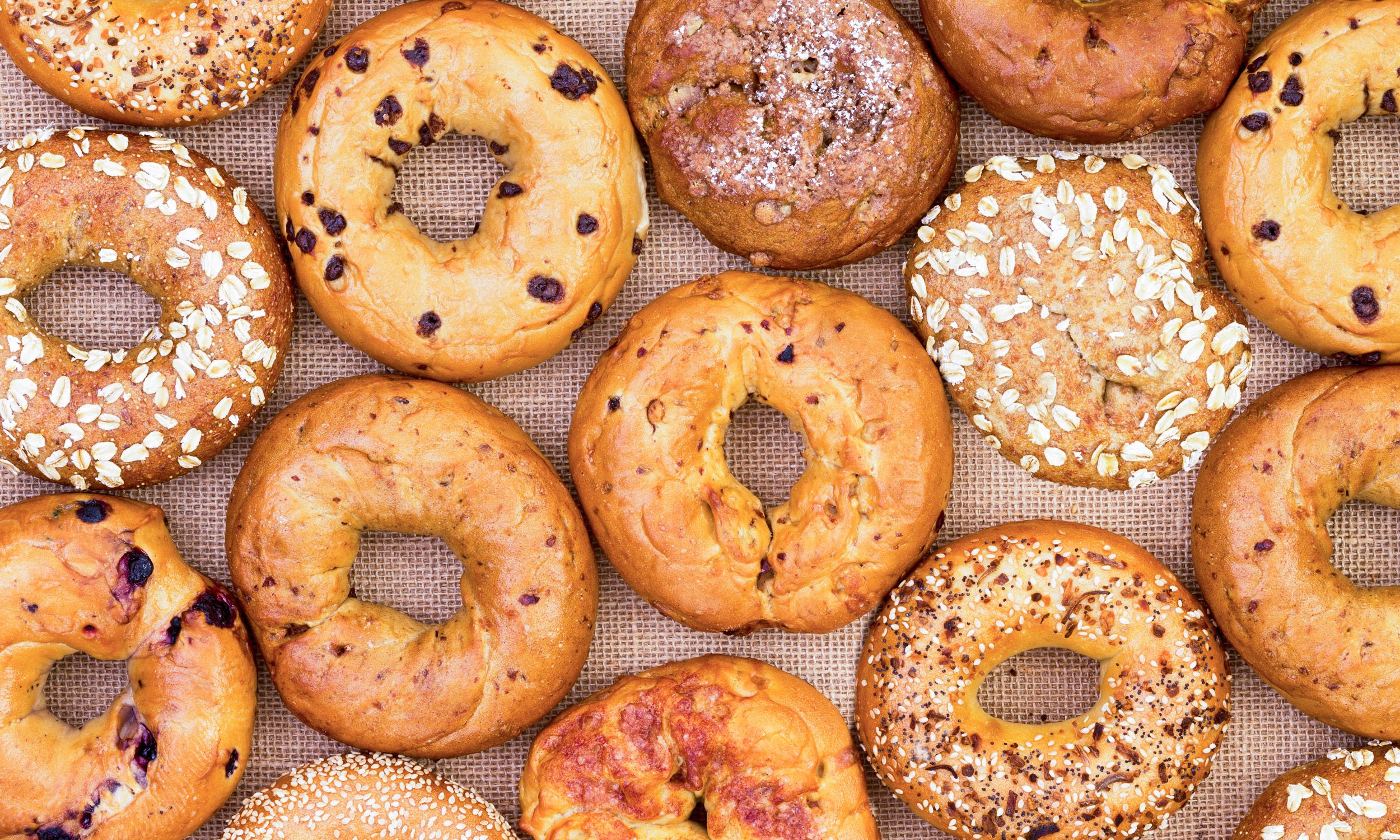 What Are Different Types Of Bagels