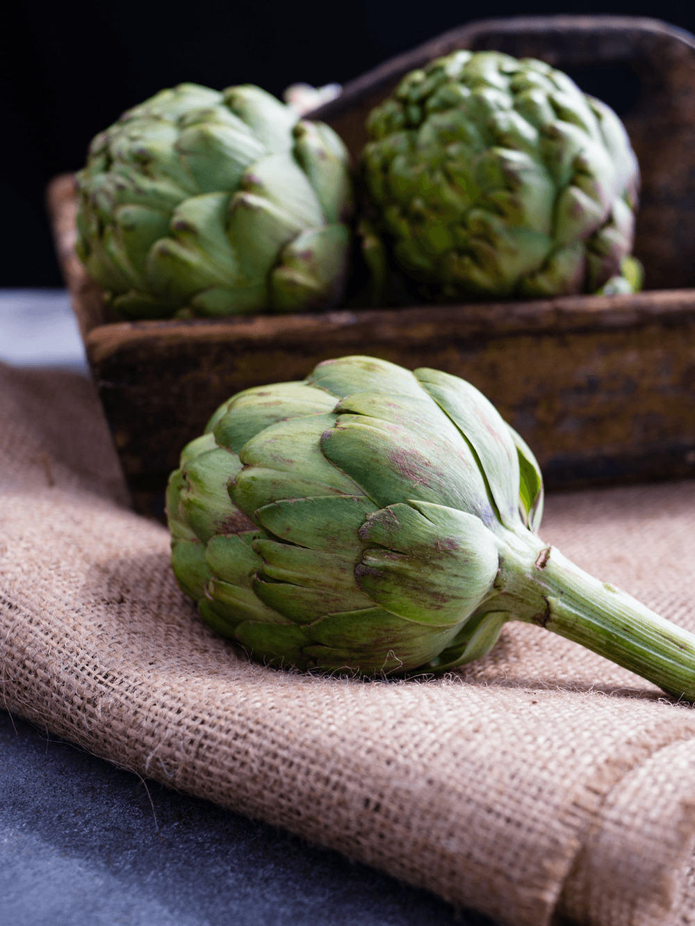 Artichokes Wallpapers - Wallpaper Cave