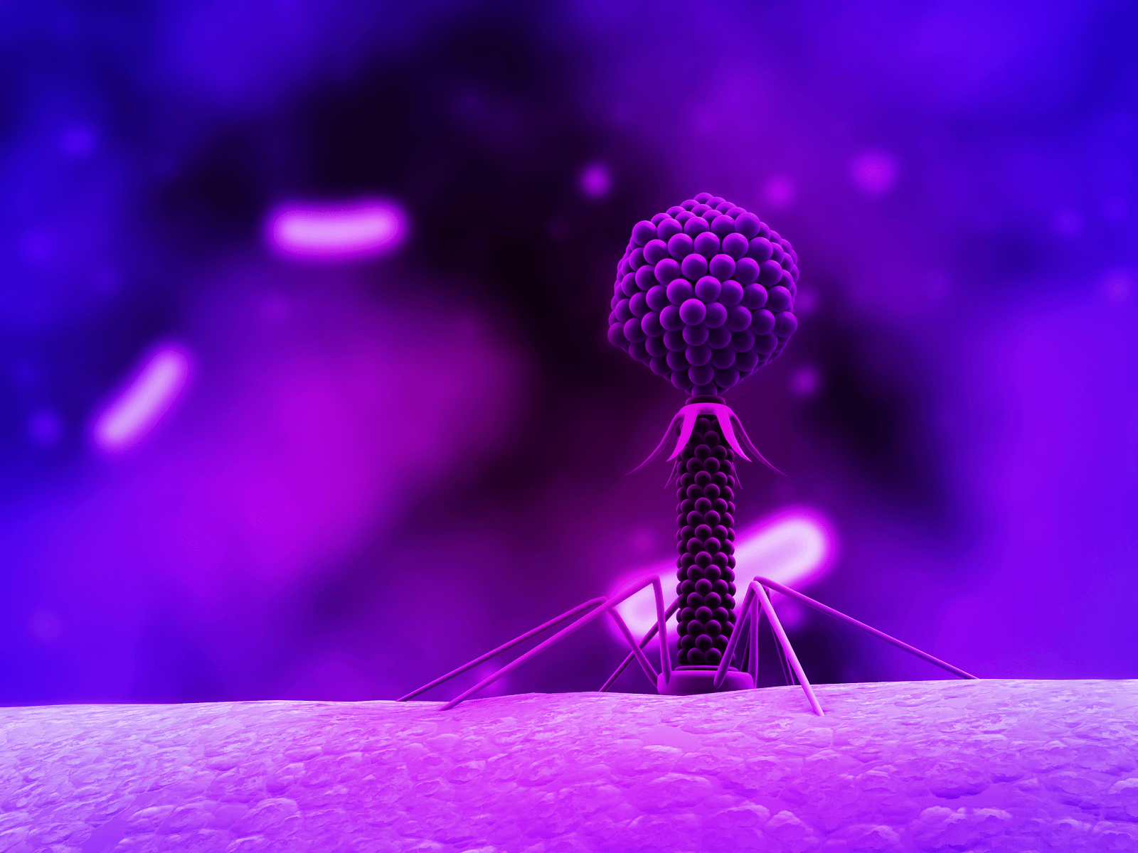 Bacteriophage Virus My Favorite. This Virus Is Not Just Amazing To