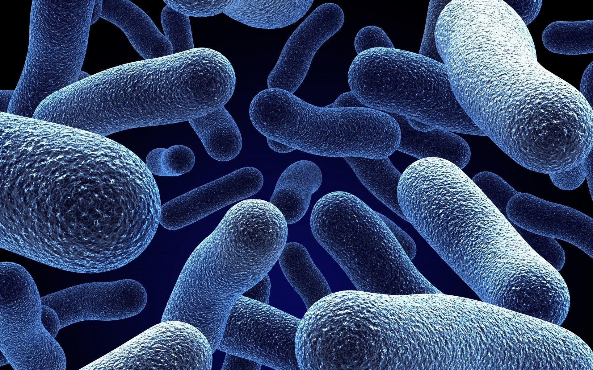 Microorganisms 3D. Android wallpaper for free