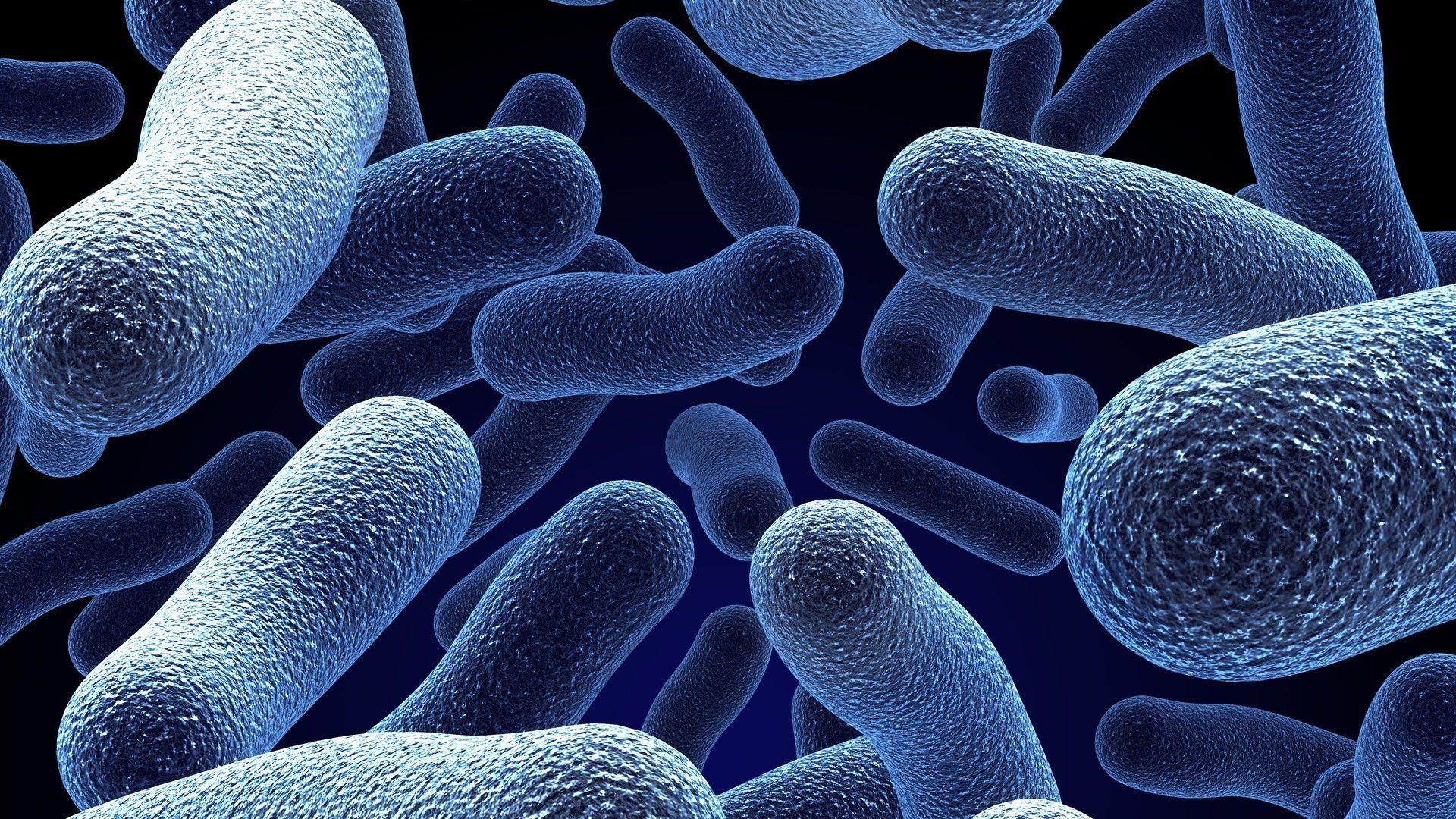 Microorganisms. Android wallpaper for free