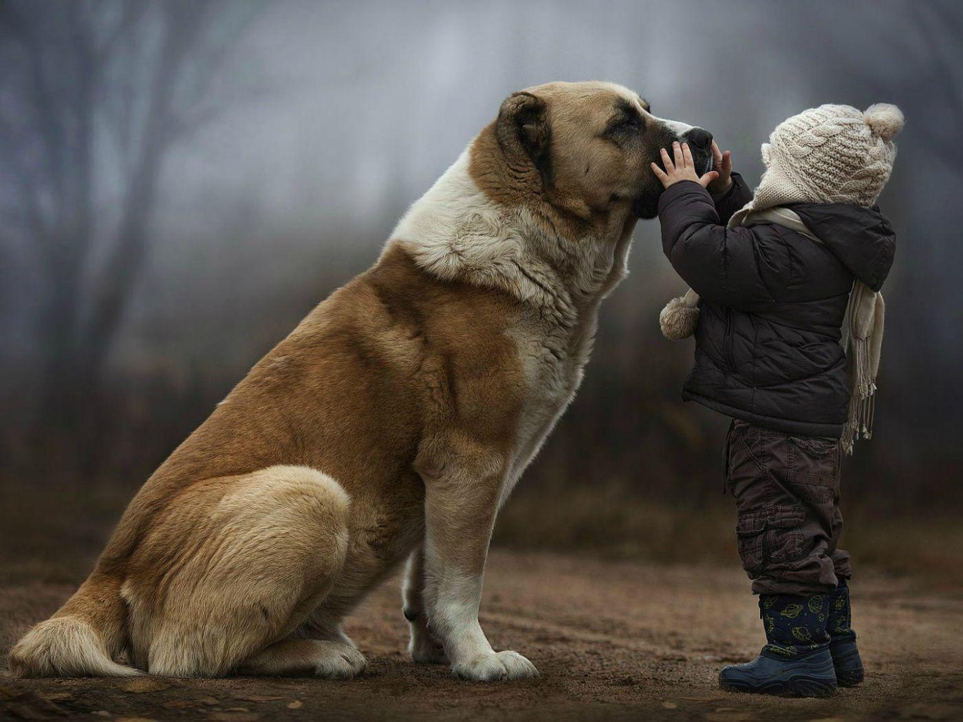 A child with a big dog Desktop wallpaper 1400x1050
