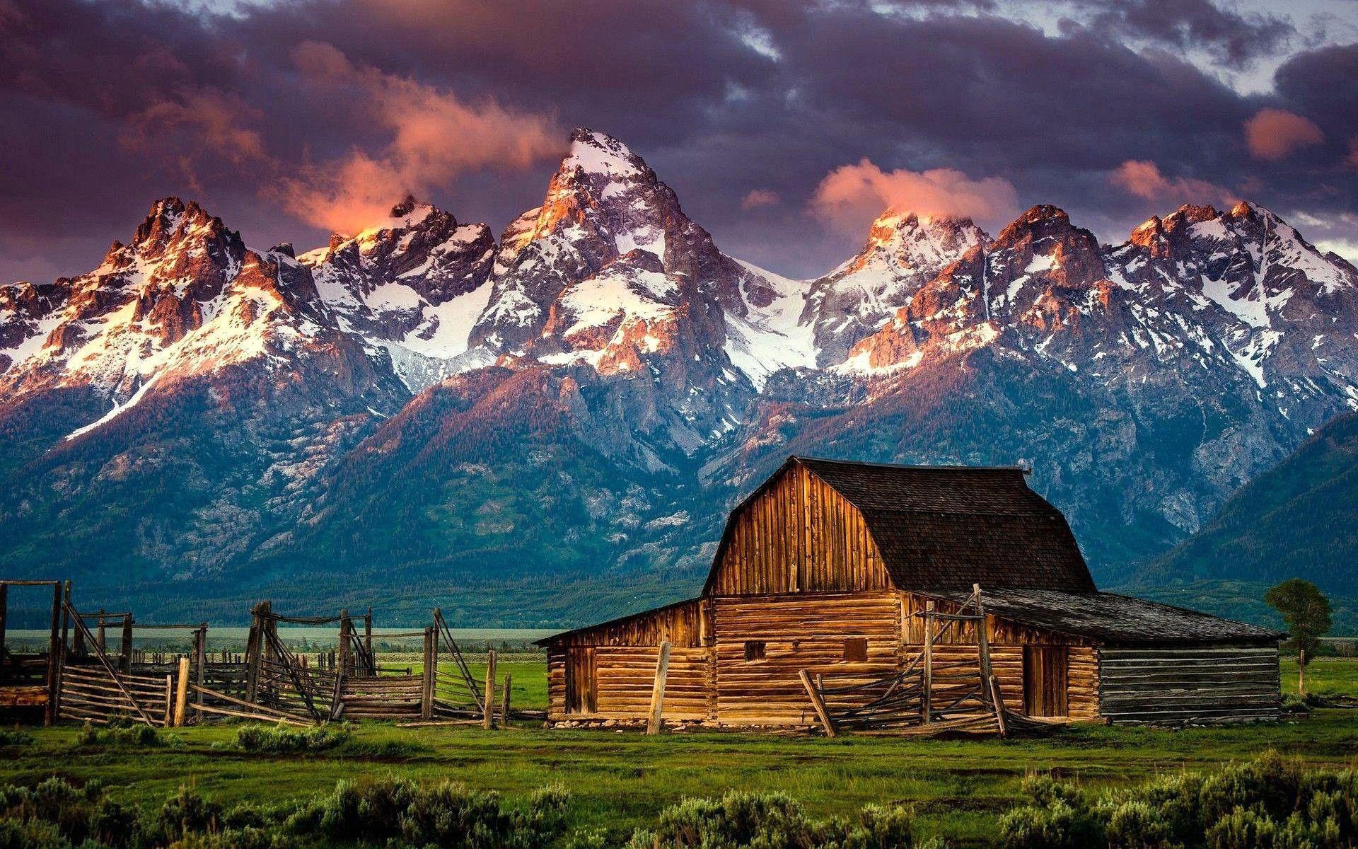 TheWyomingPatriot
