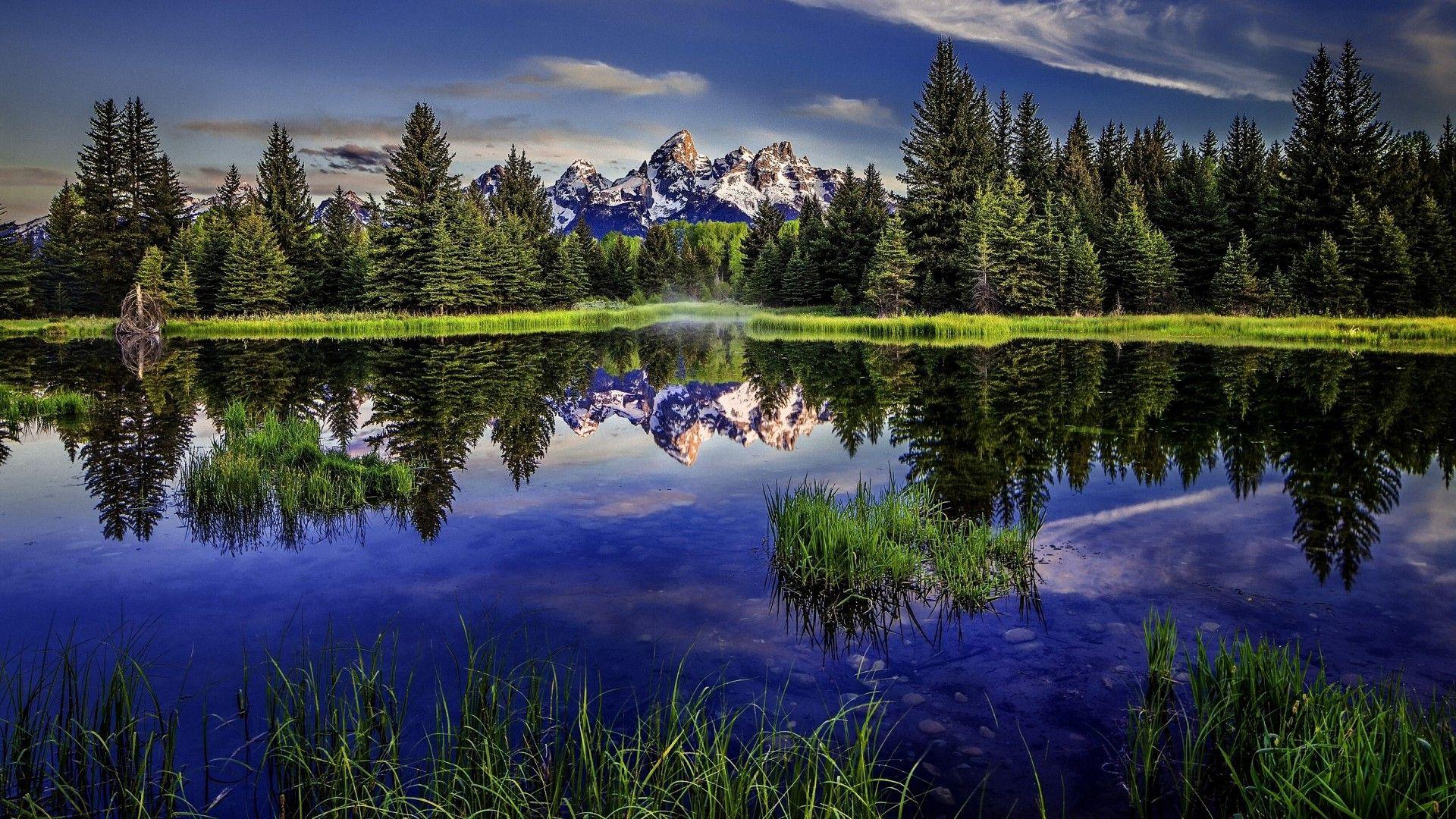 Free 1920x1080 Forest Lake Park Landscape Reflection Wyoming