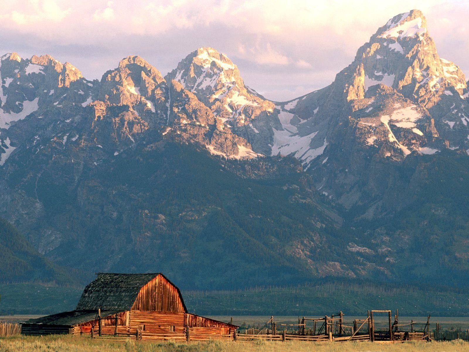Grand Teton National Park Wyoming USA trees mountains lake 1080x1920  iPhone 8766S Plus wallpaper background picture image