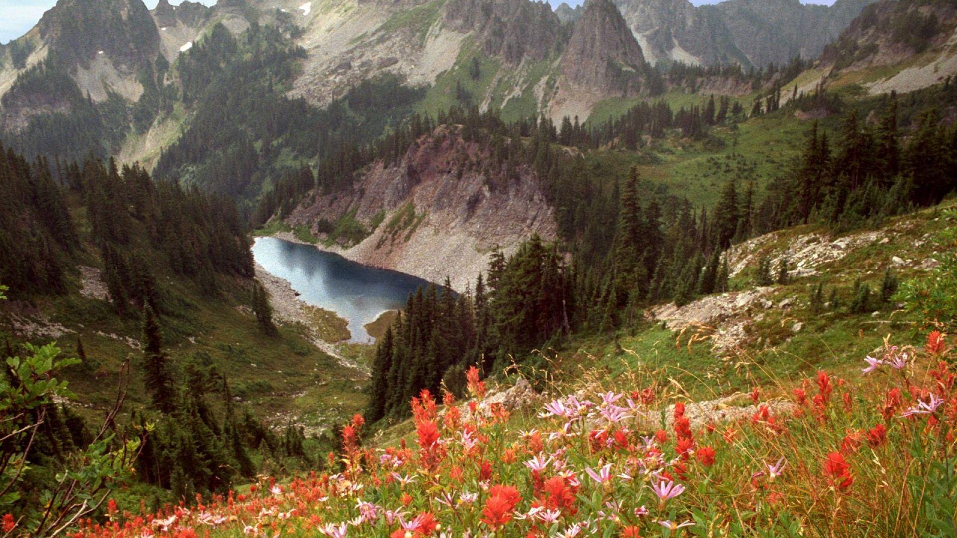 Download Wallpaper 1920x1080 cliff lake, idaho, mountains, flowers