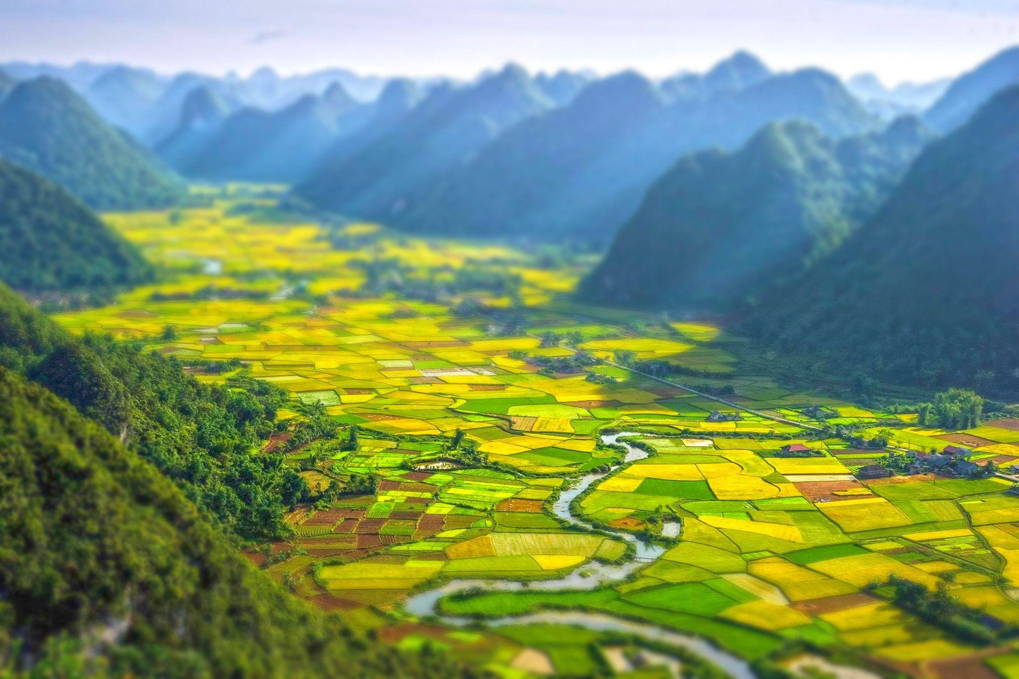 landscape, Nature, Africa, Tilt Shift, Field, River, Hill, Rwanda Wallpaper HD / Desktop and Mobile Backg. Places to travel, Vietnam travel, Wonders of the world