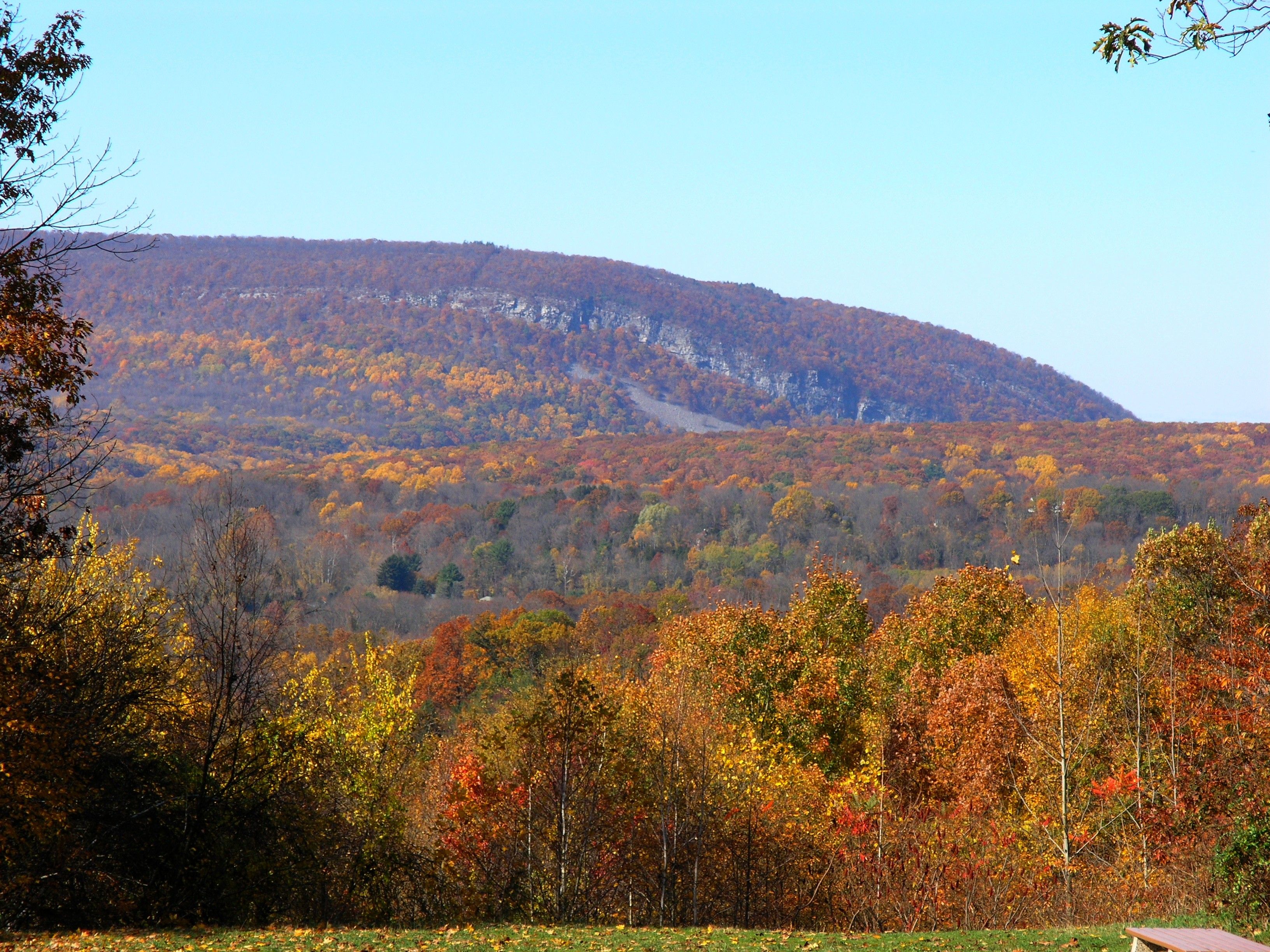 Mountain: Delaware Water Gap Oct Pa Mountian Fall Leaves Wallpaper