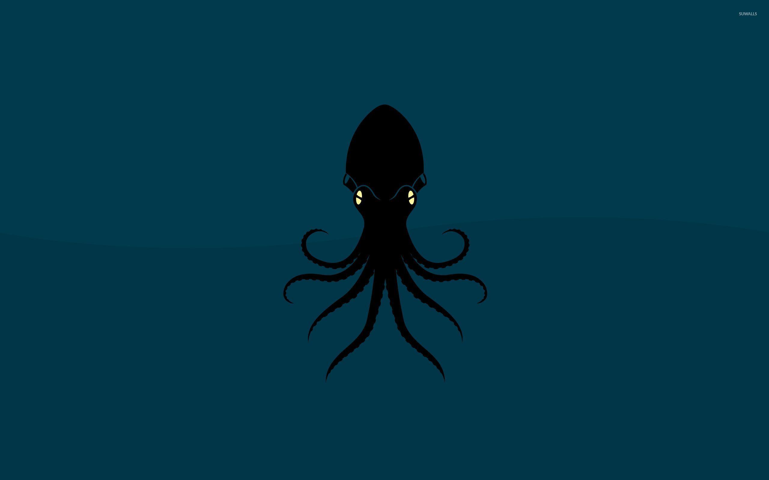 Squid Wallpaper. Free Pics Download For Android, Desktop. HD