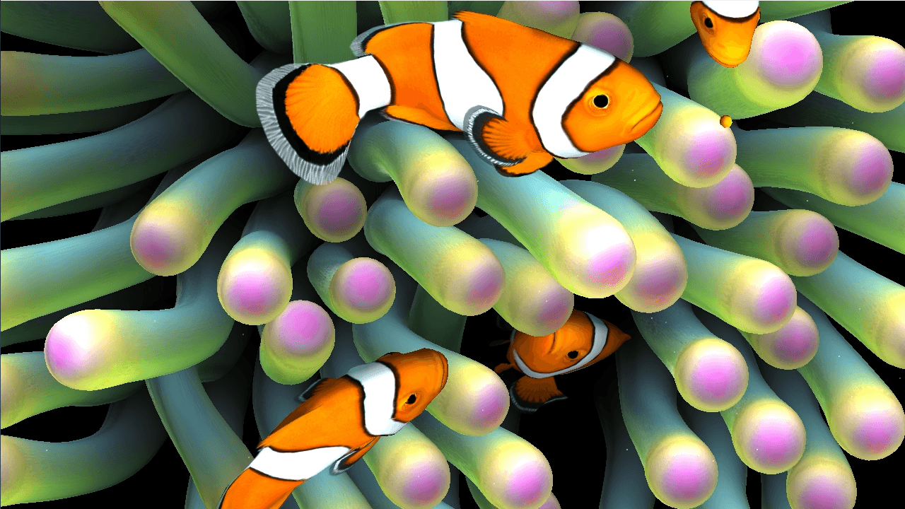 Nemo's Aquarium Live Wallpaper for (Android) Free Download on MoboMarket