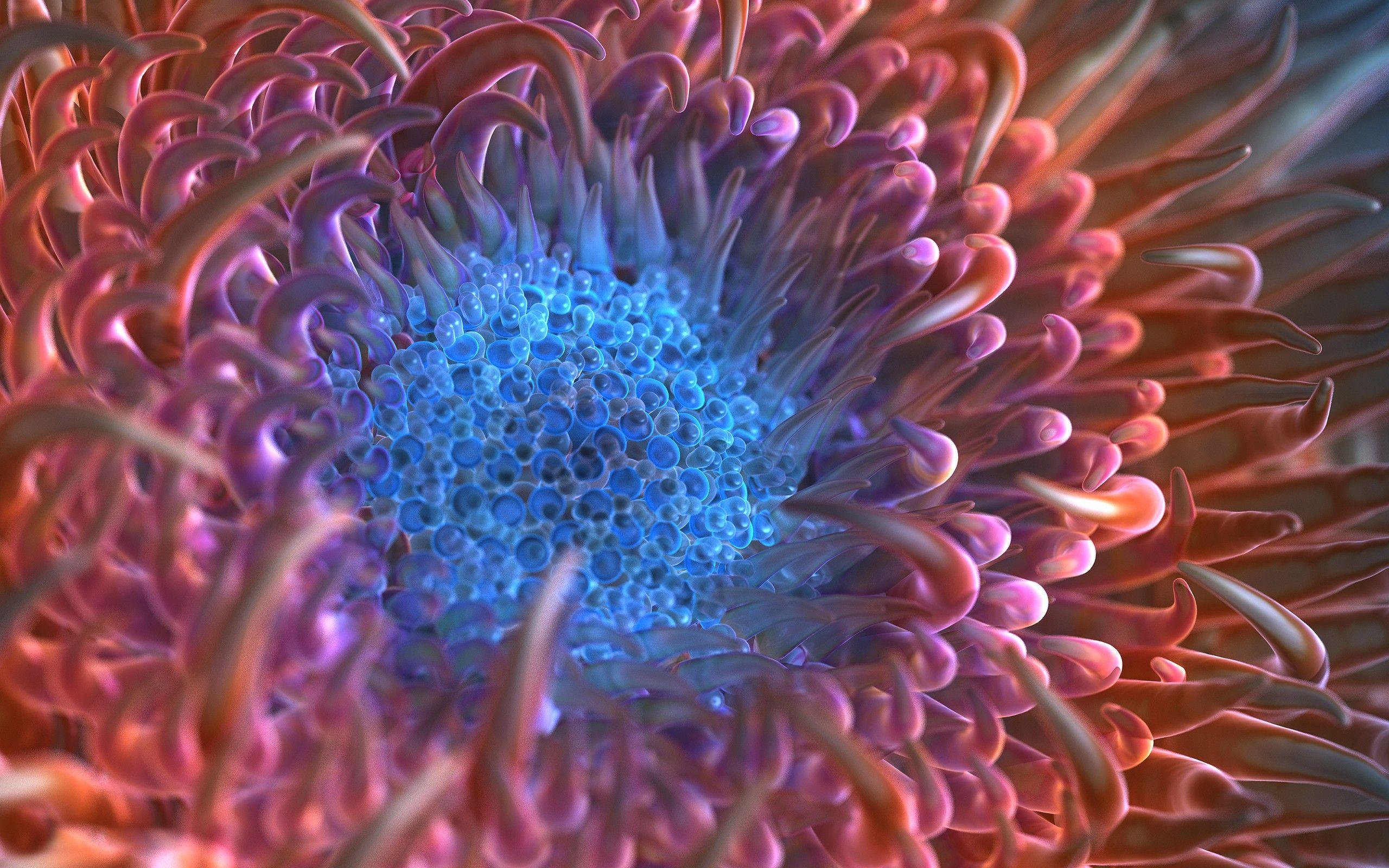 Digital Anemone Flower, HD Graphics, 4k Wallpaper, Image