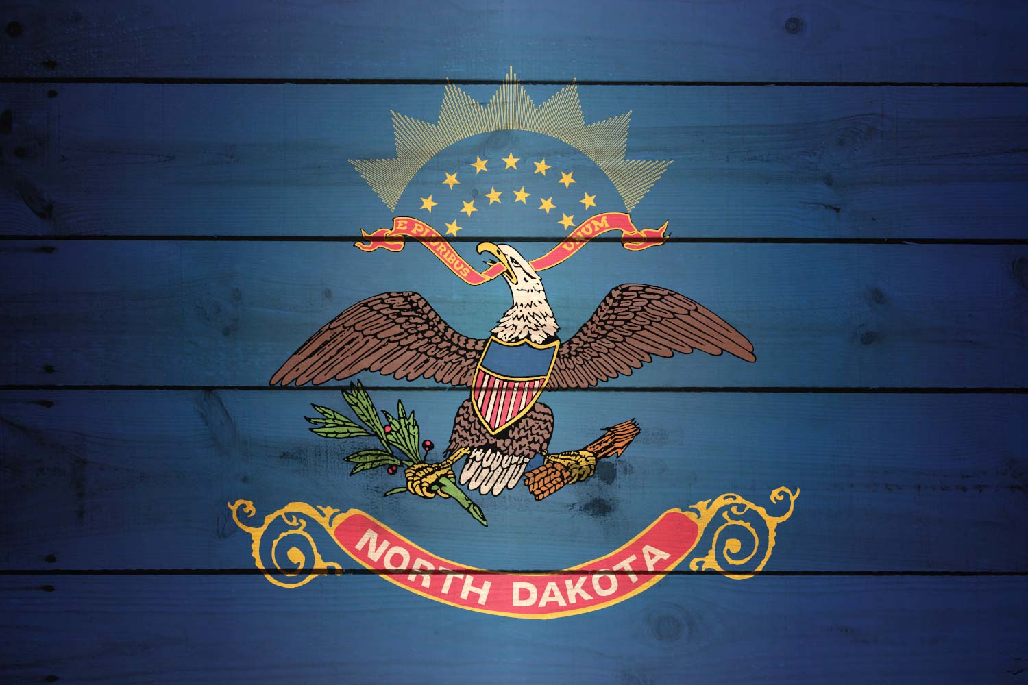 Flag of North Dakota Texture it for free