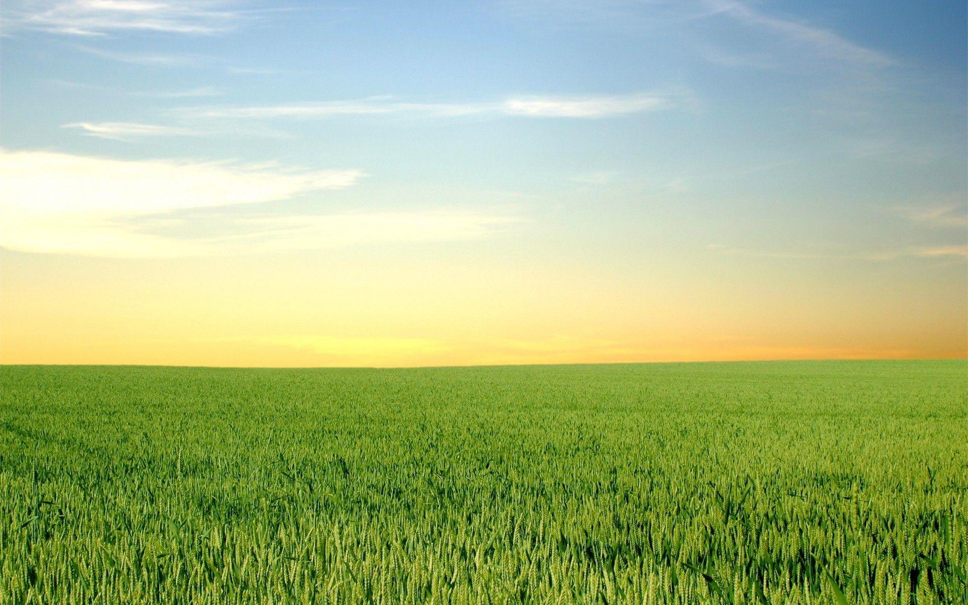 Daily Wallpaper: Green Fields and Blue Skies. I Like To Waste My Time