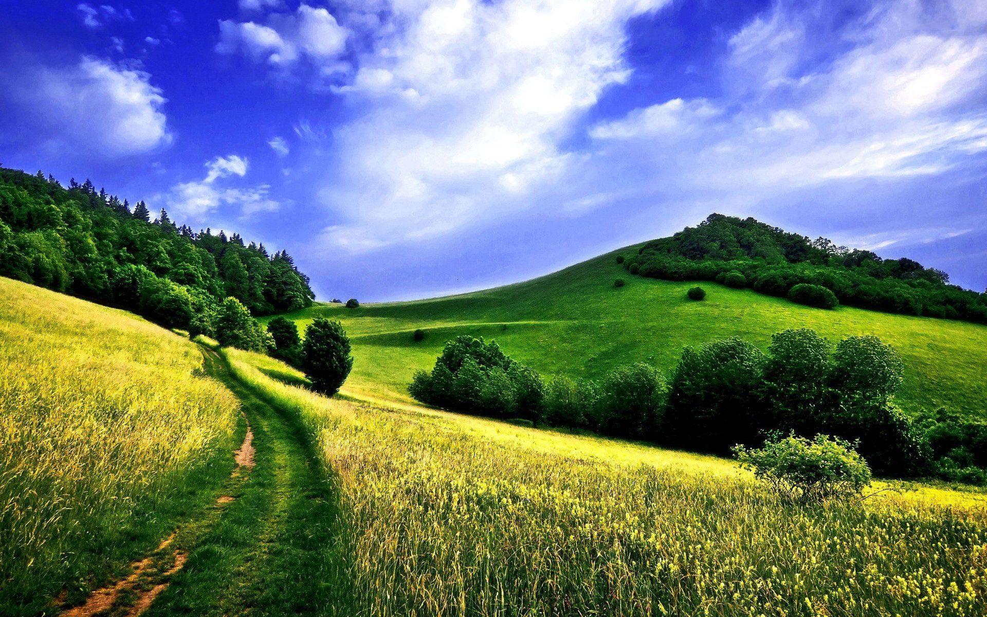 Country Road In A Green Field. Download HD Wallpaper For Desktop