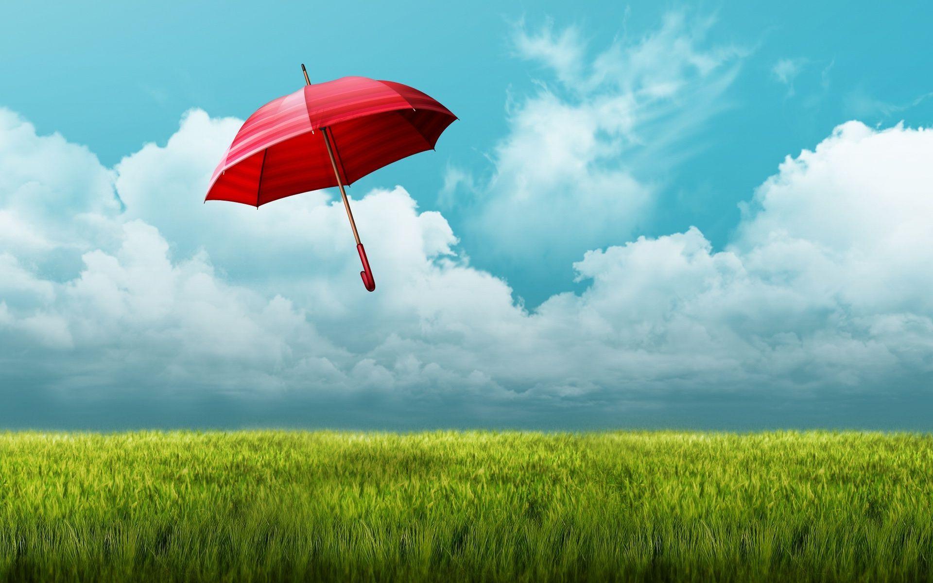 HD Umbrella flying above the green field Wallpaper. Download Free