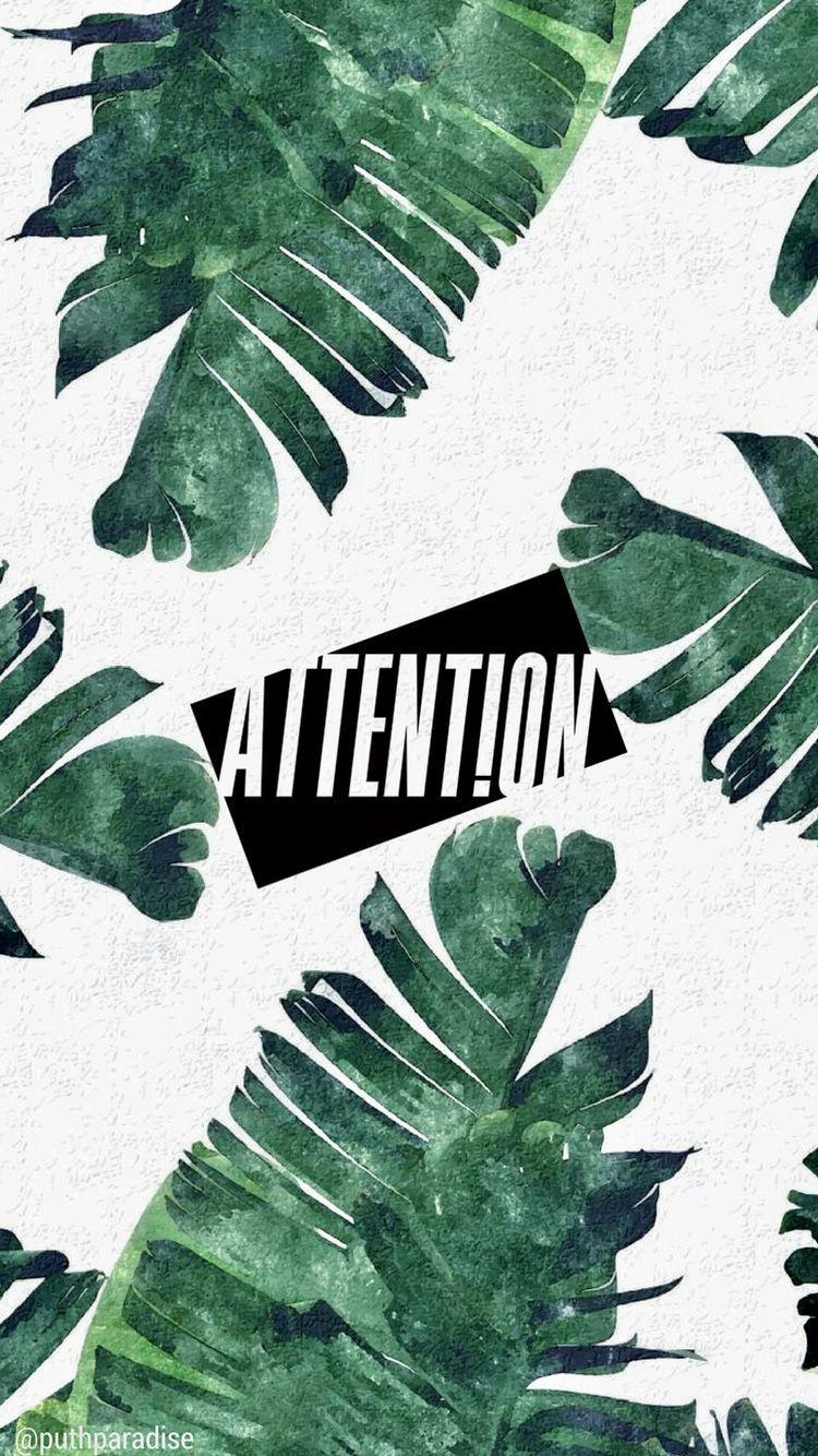 Charlie Puth. Phone wallpaper (palm trees). N O.N