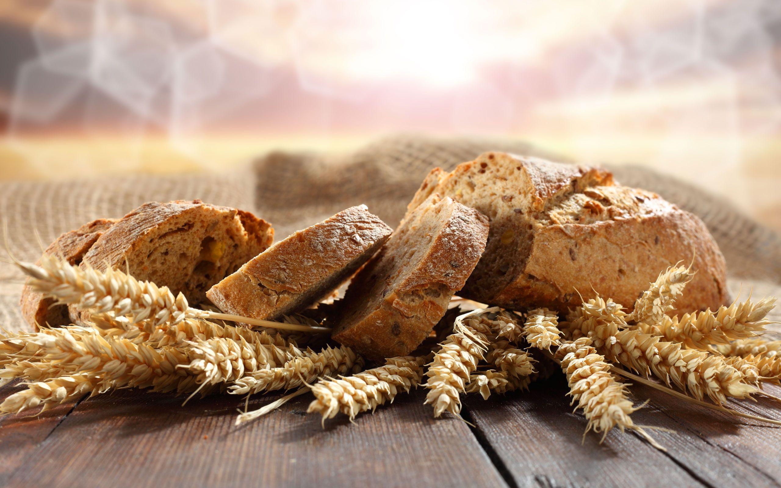 Amazing Bread Wallpaper 37339 2560x1600 px