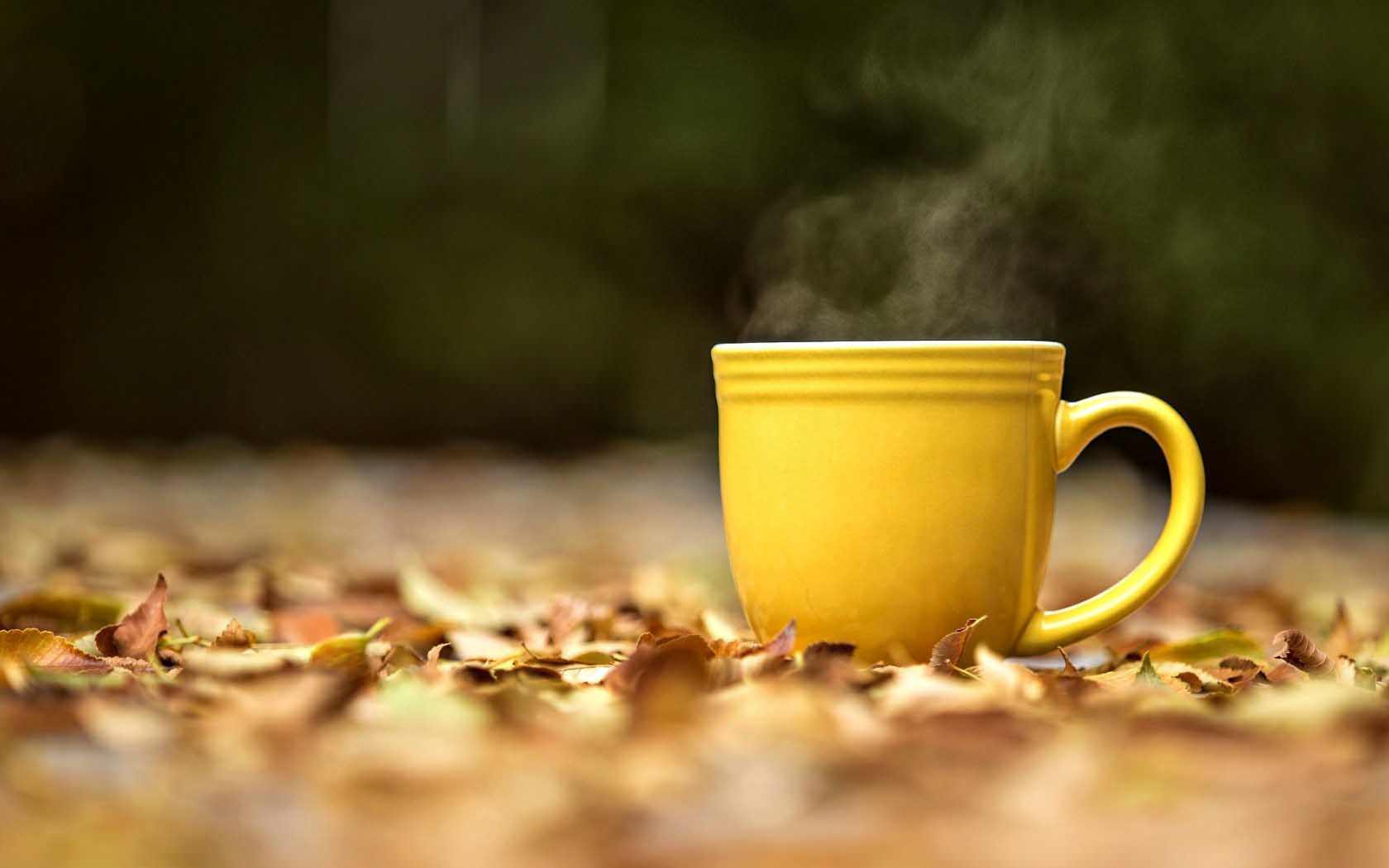 Nature Mug Cup Yellow Hot Tea Leaves Yellow Autumn Pleasant