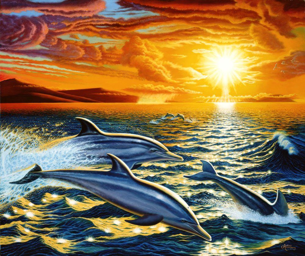 3D Dolphin Wallpaper