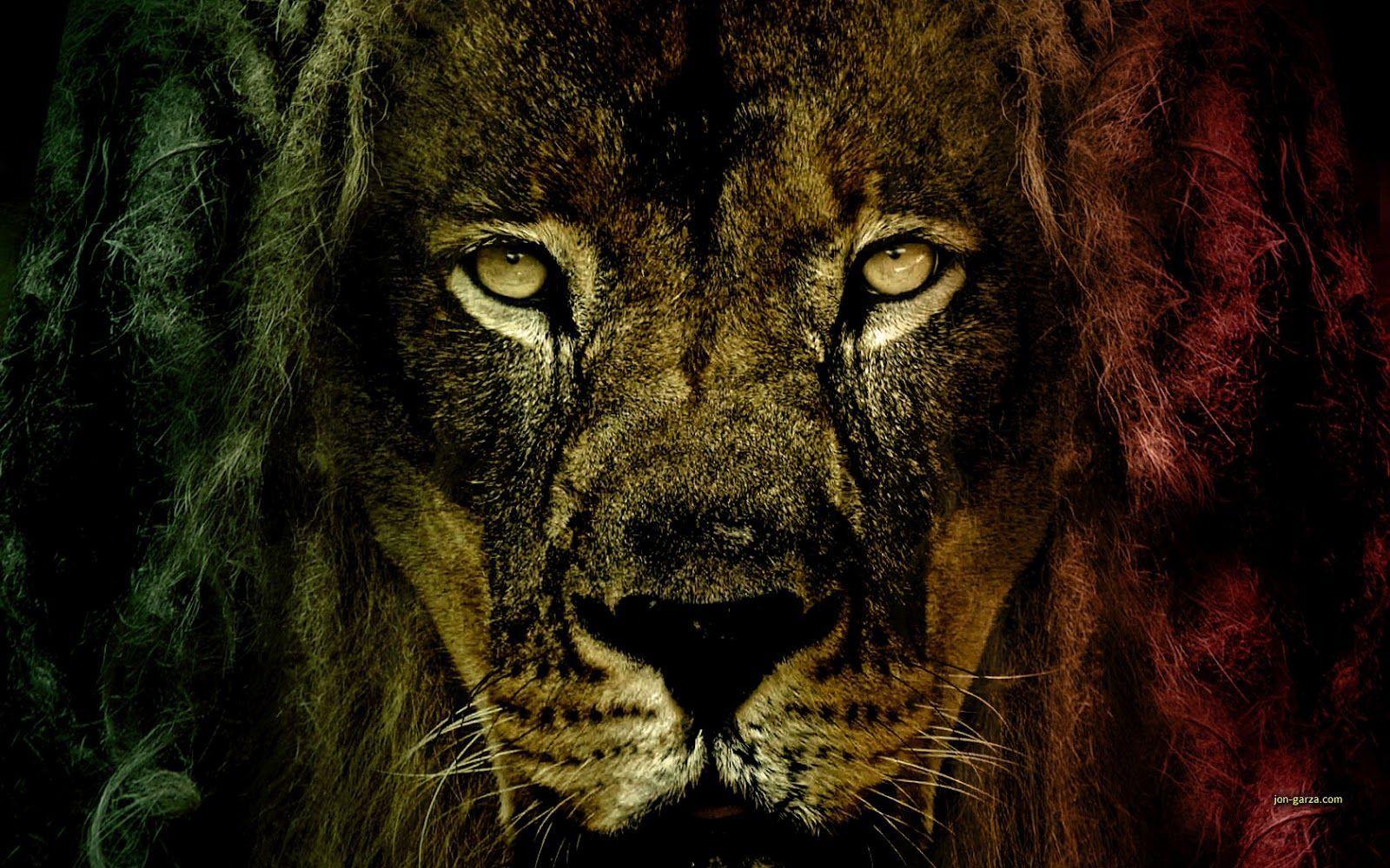Rasta Lion With Dreads. Adorable Wallpaper
