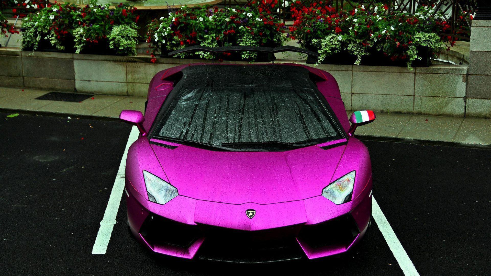 Purple Lamborghini Wallpaper Image Photo Picture Background
