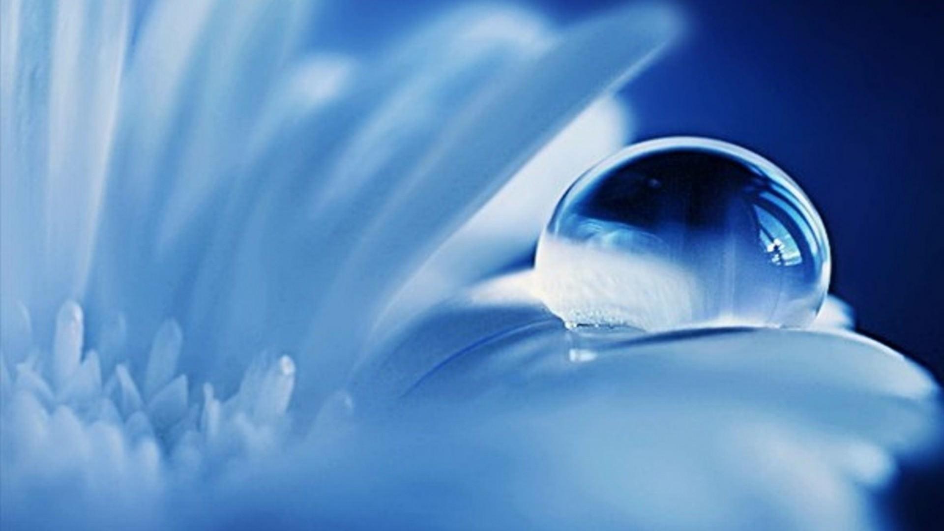 Photography Water Drop On Flower Wallpaper 1920x1080 PC