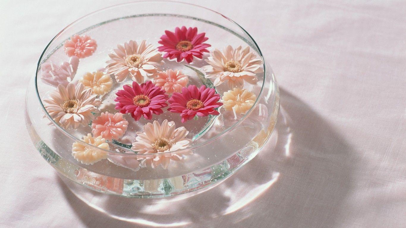 Flower Bowl Candles Daisies Water Flowers Desktop Wallpaper Free