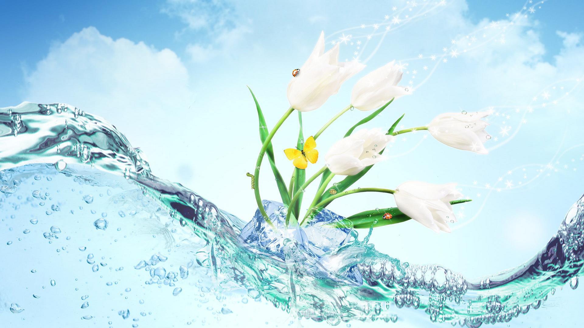 Flower Water Wallpaper Wallpaper