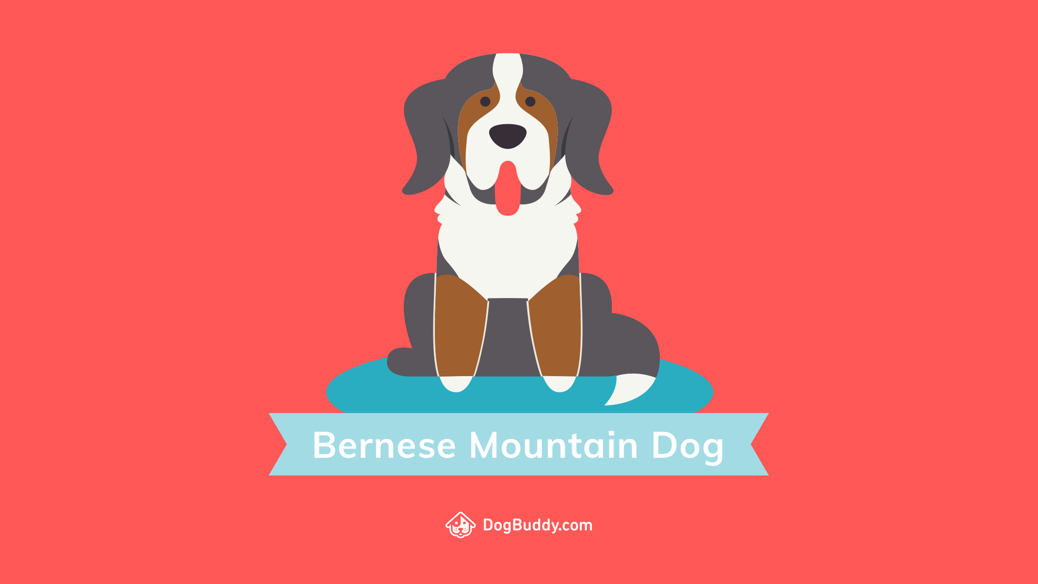 Woofpaper: Bernese Mountain Dog