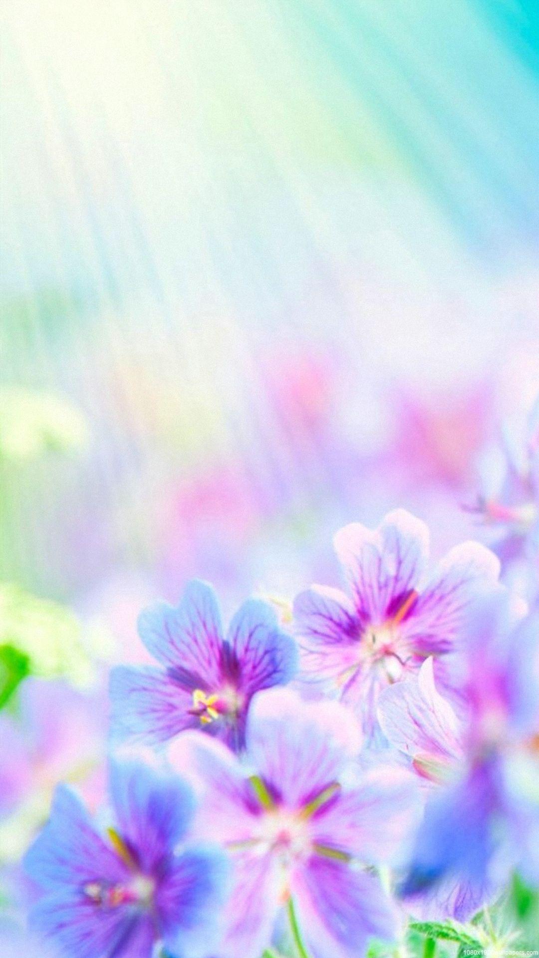 Beautiful Wallpaper Of Flowers For Mobile