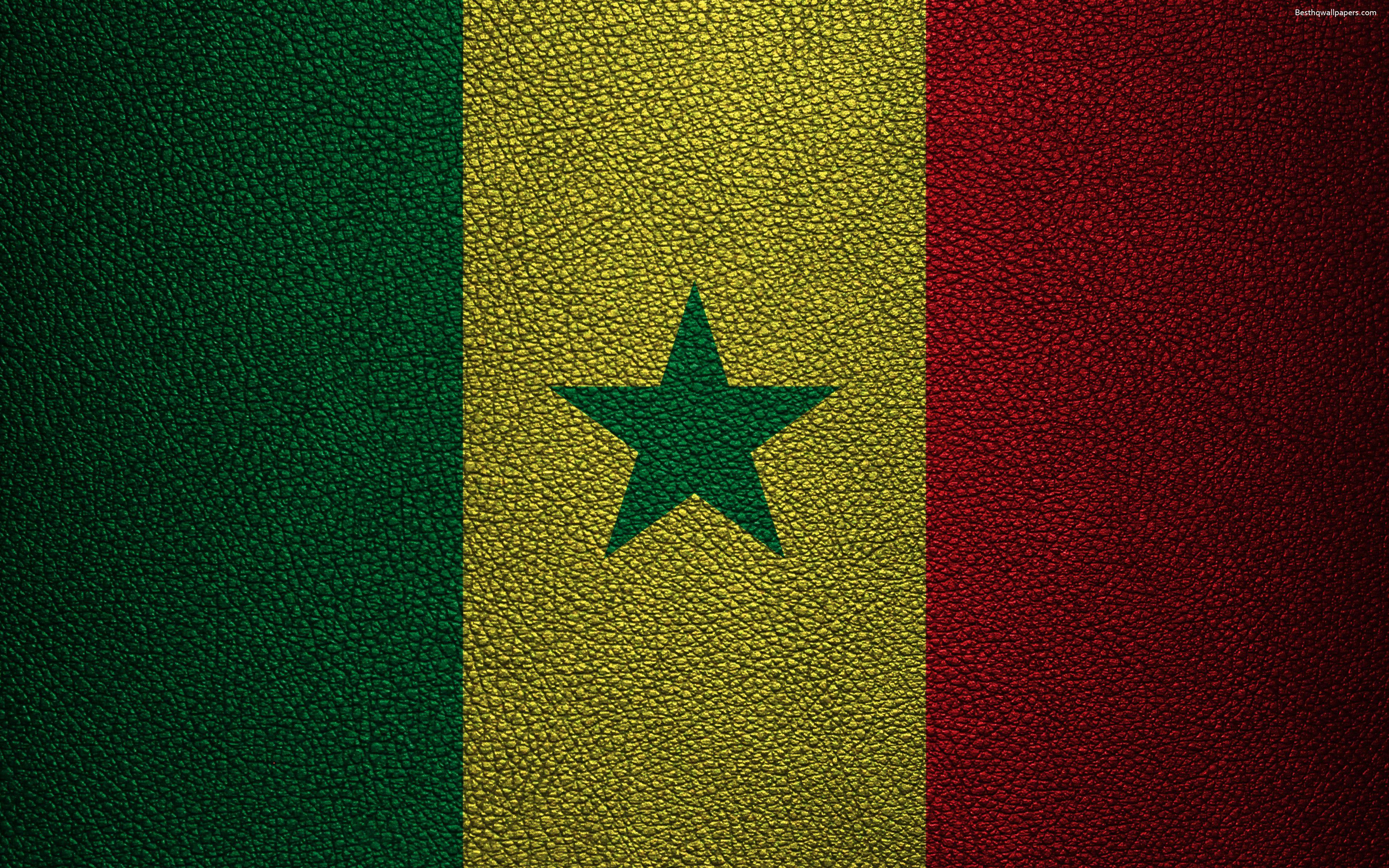 Download wallpaper Flag of Senegal, Africa, 4K, leather texture