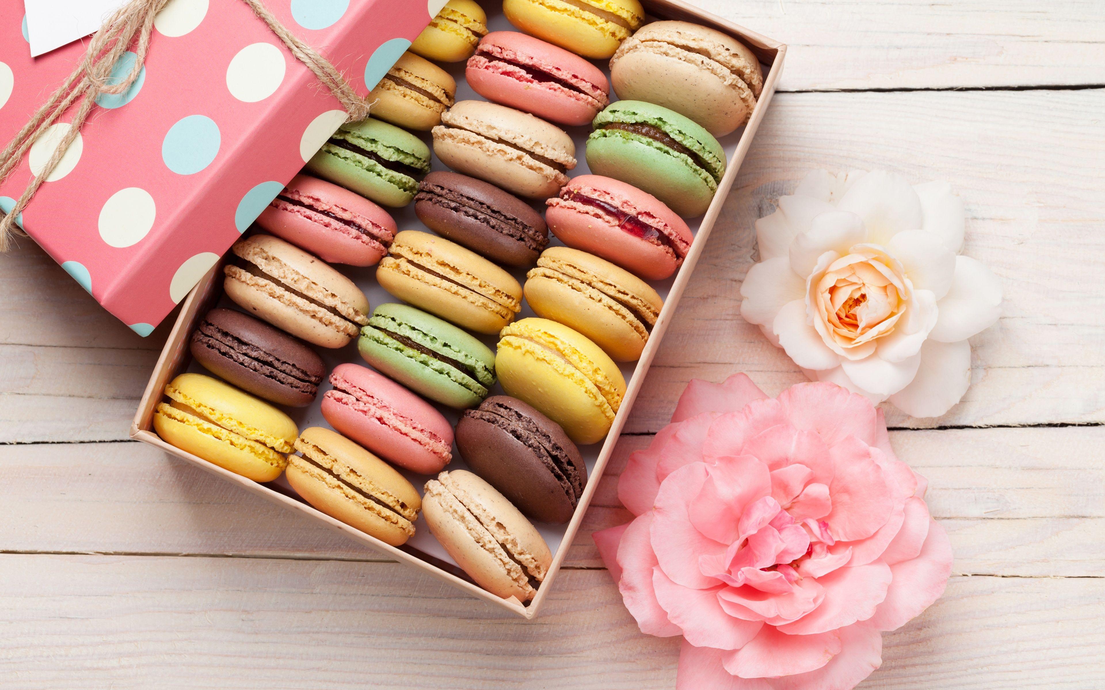 Macaron Wallpaper 11 X 2400