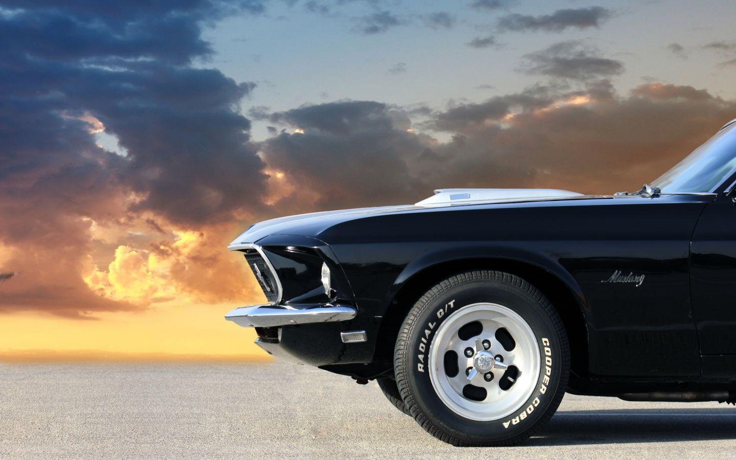 Mustang Profile