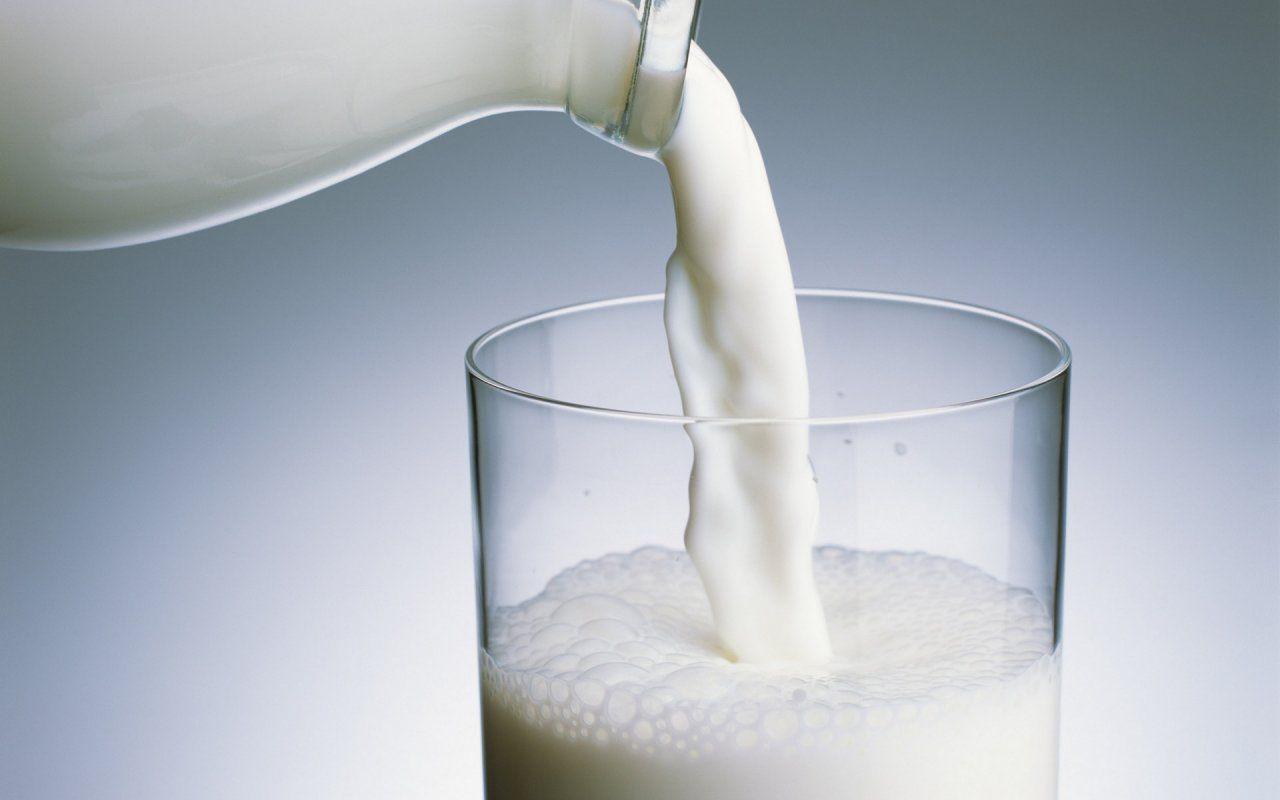 World Milk Day Wallpaper HD Download