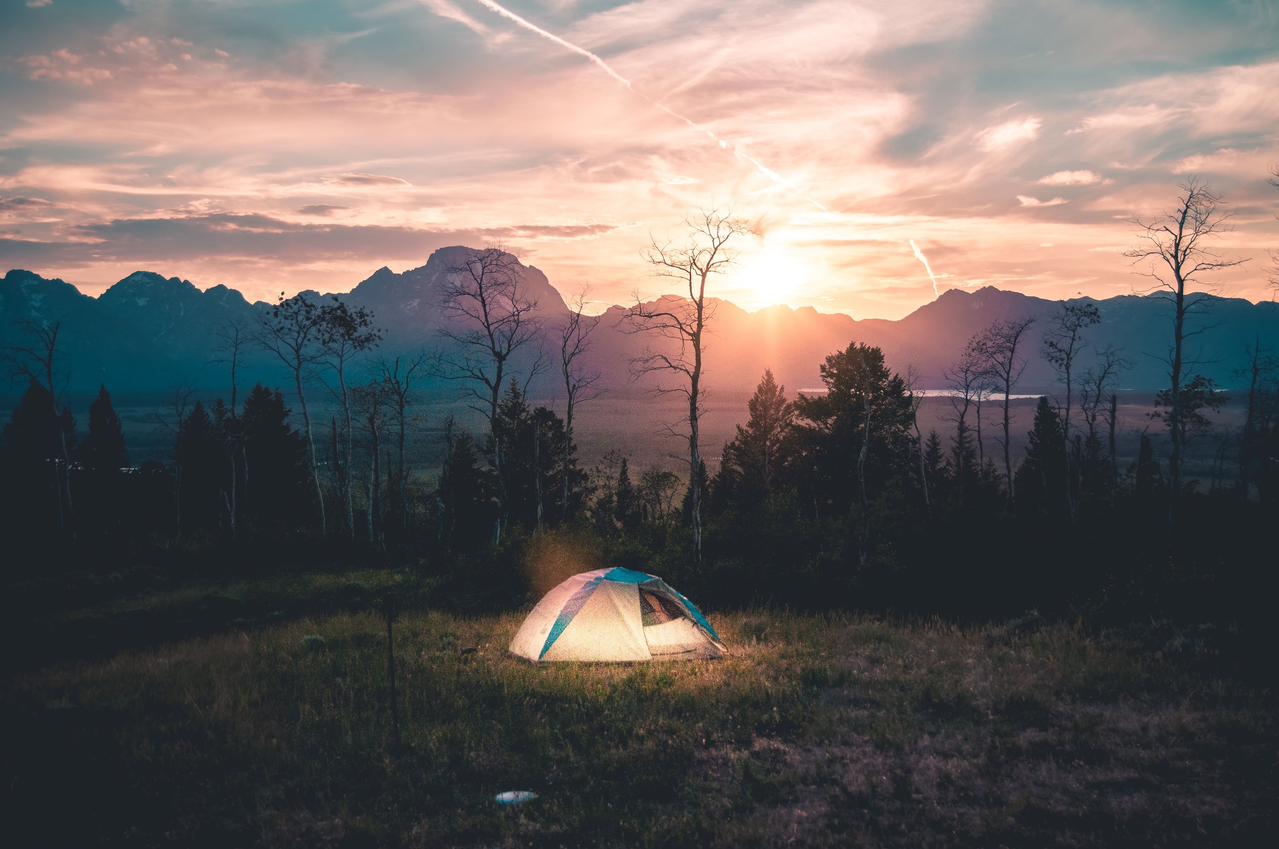 Landscape photography of tent near bare trees during golden hour HD