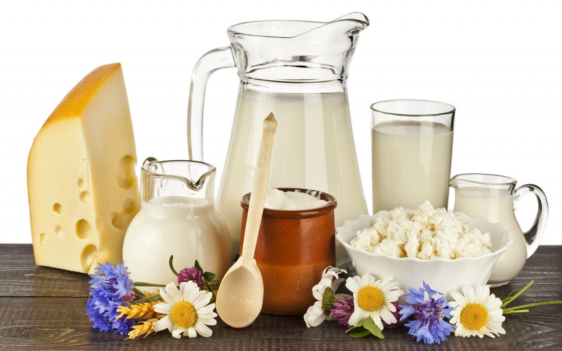 Dairy Products Image