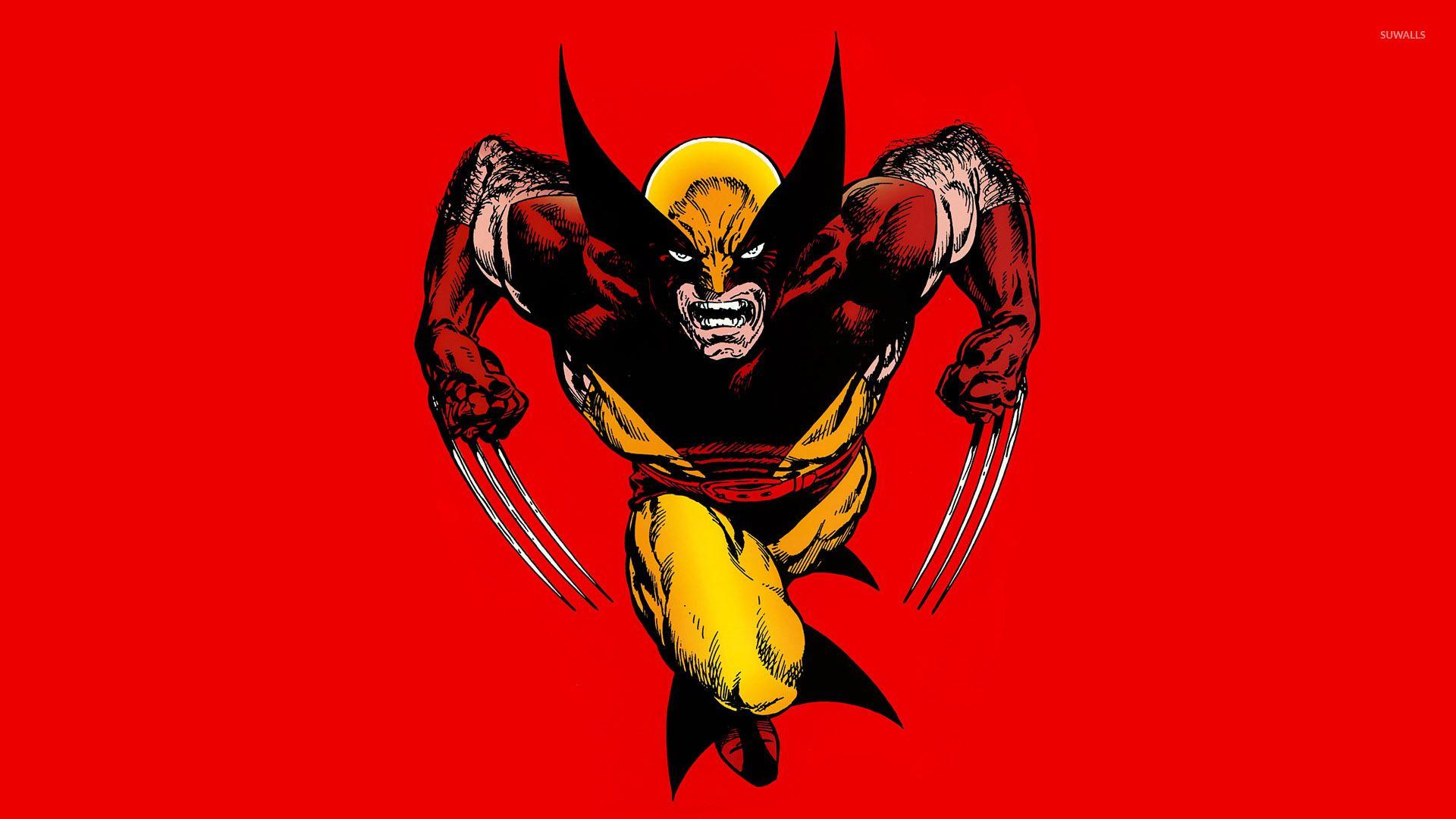 Wolverine in a fight wallpaper wallpaper