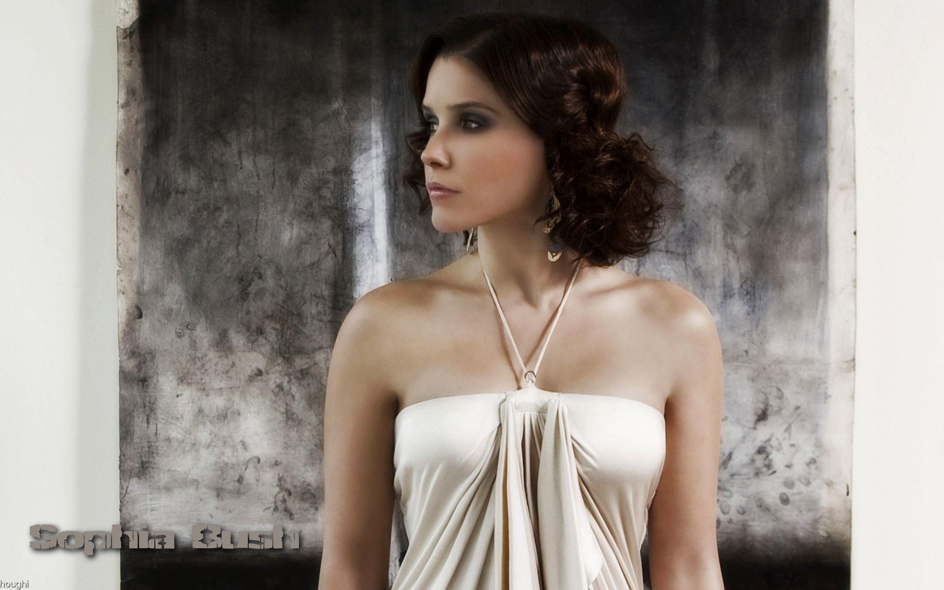 Sophia bush, babes, wallpaper, sizes, other