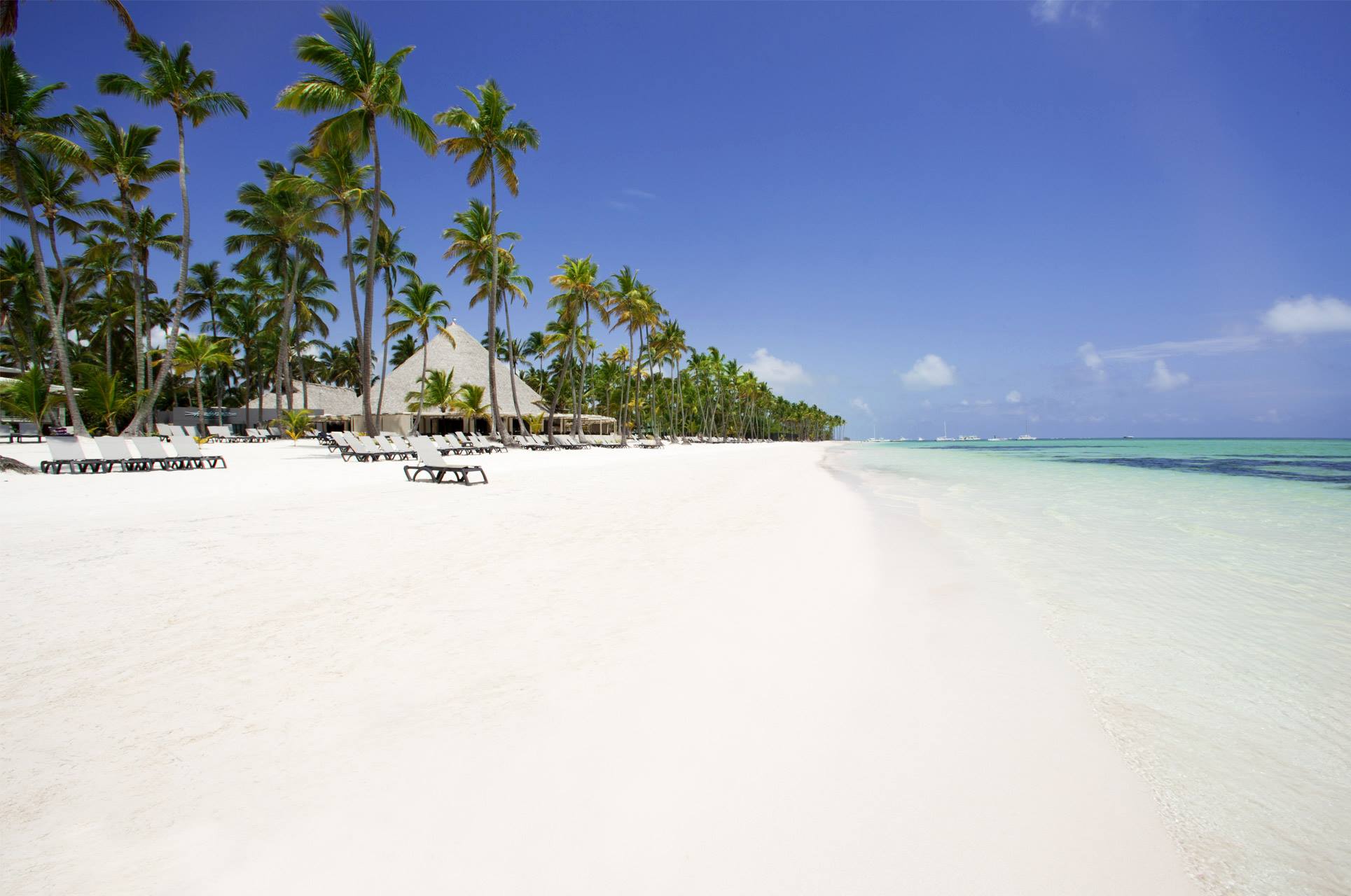 Bavaro Beach, Punta Cana, Dominican Republic. Top quality wallpaper