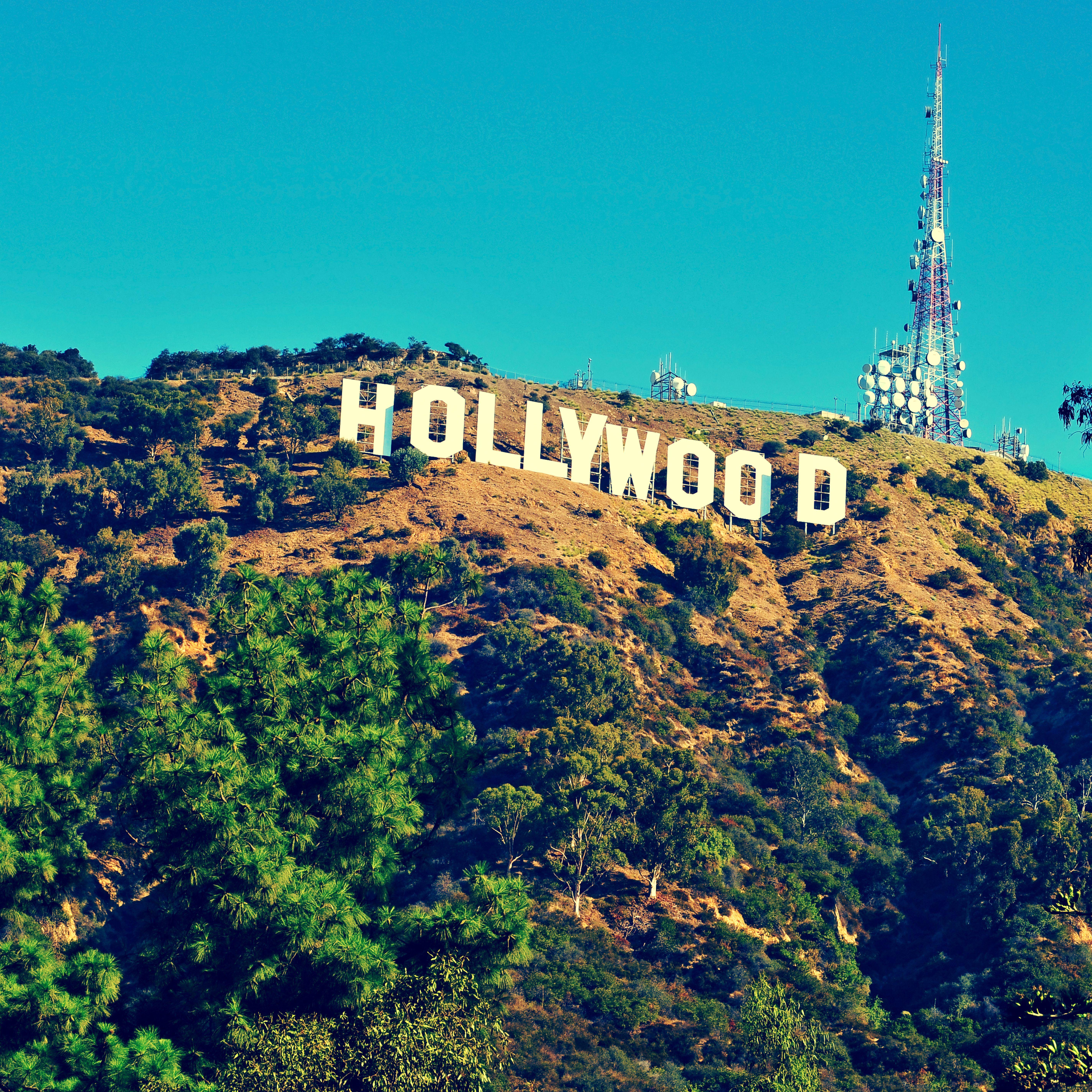 Stand Under the Hollywood Sign. Hollywood sign, Buckets and Hiking