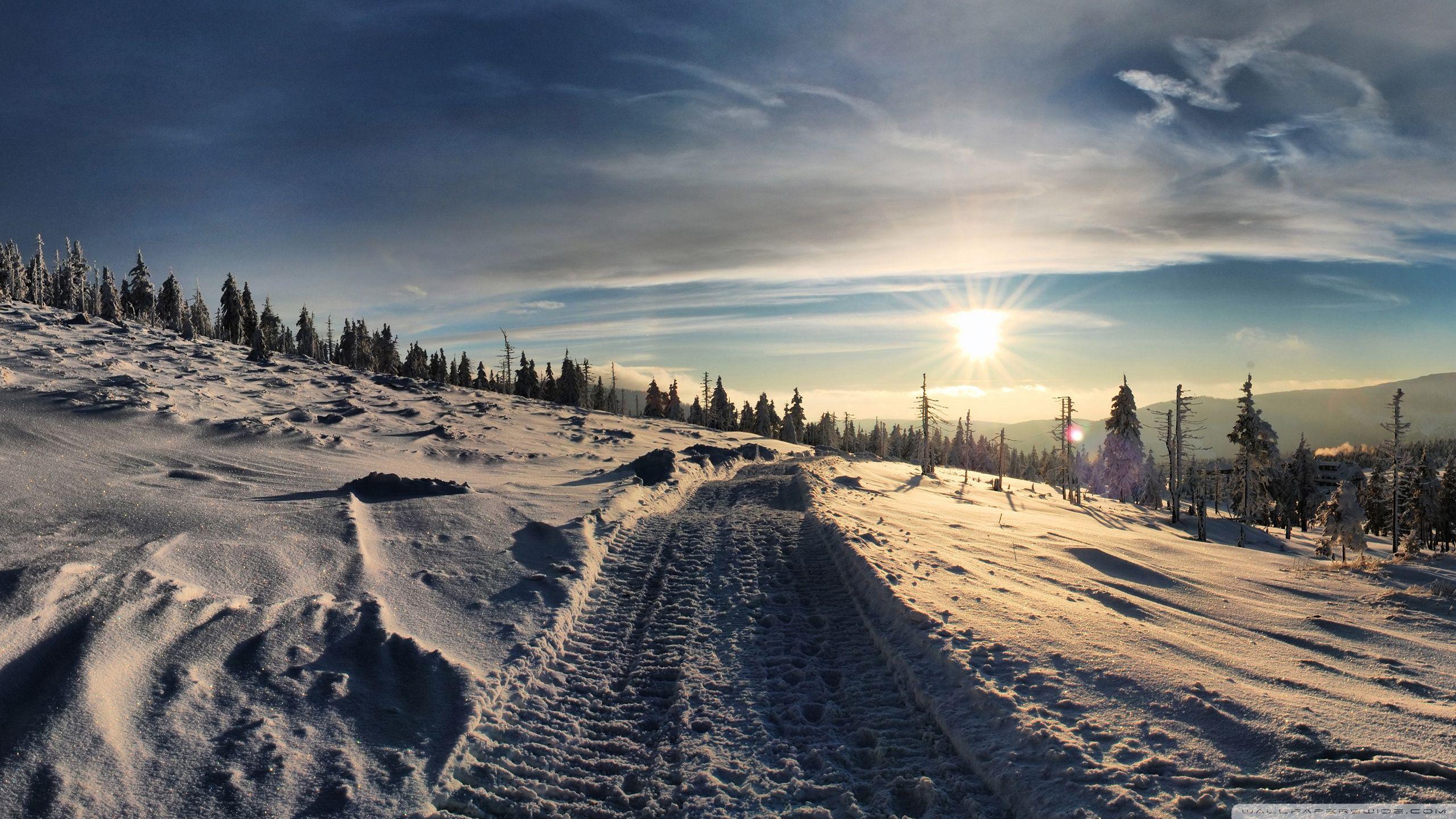Snowmobile Trails ❤ 4K HD Desktop Wallpaper for 4K Ultra HD TV