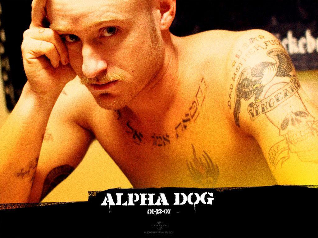 Ben Foster Foster in Alpha Dog Wallpaper 11 800x600