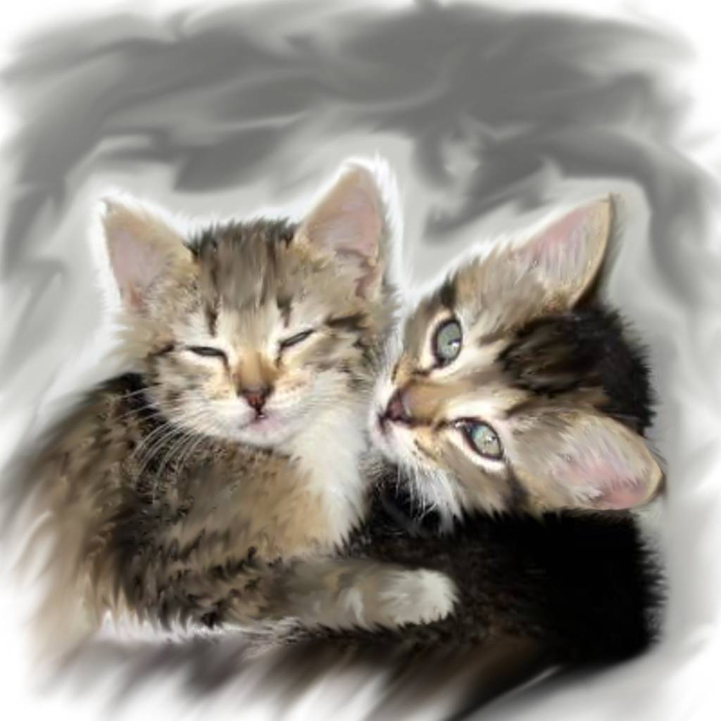 Animal Background and Codes for any Blog, web page, phone or desktop