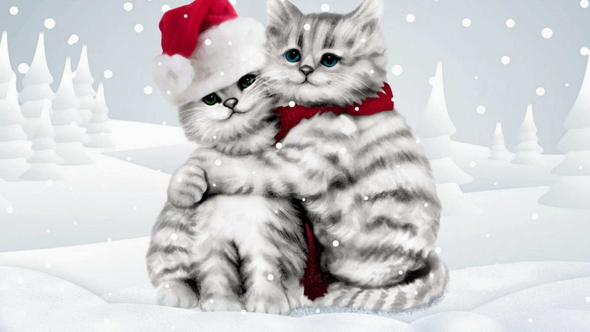 Download Winter Cat Hug Cute Wallpaper for desktop, mobile phones